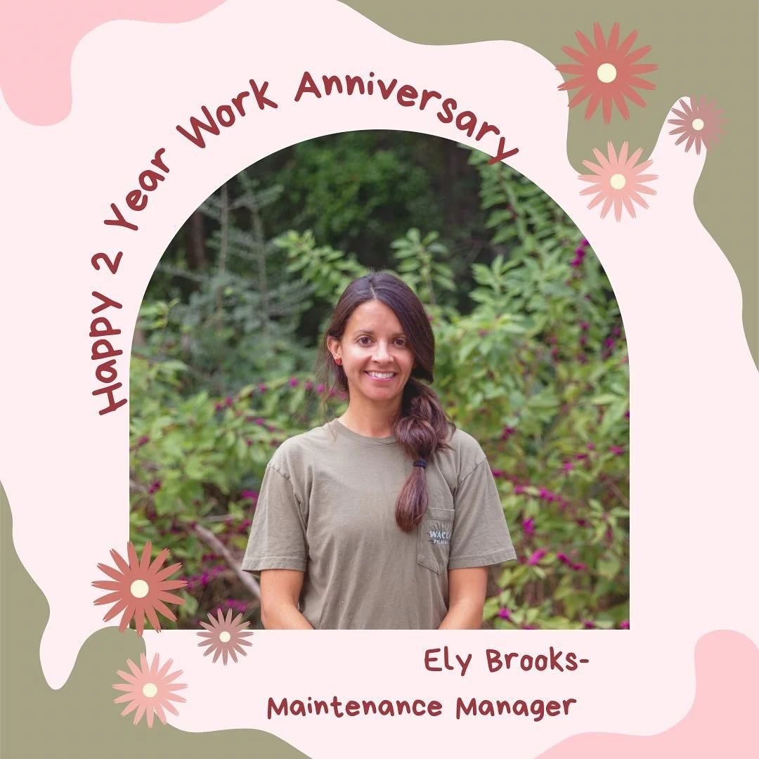 Happy ✌️ year work anniversary to Ely! She’s an absolute rockstar and we our so privileged to have her as part of the team. #workanniversary #anniversary #appreciation