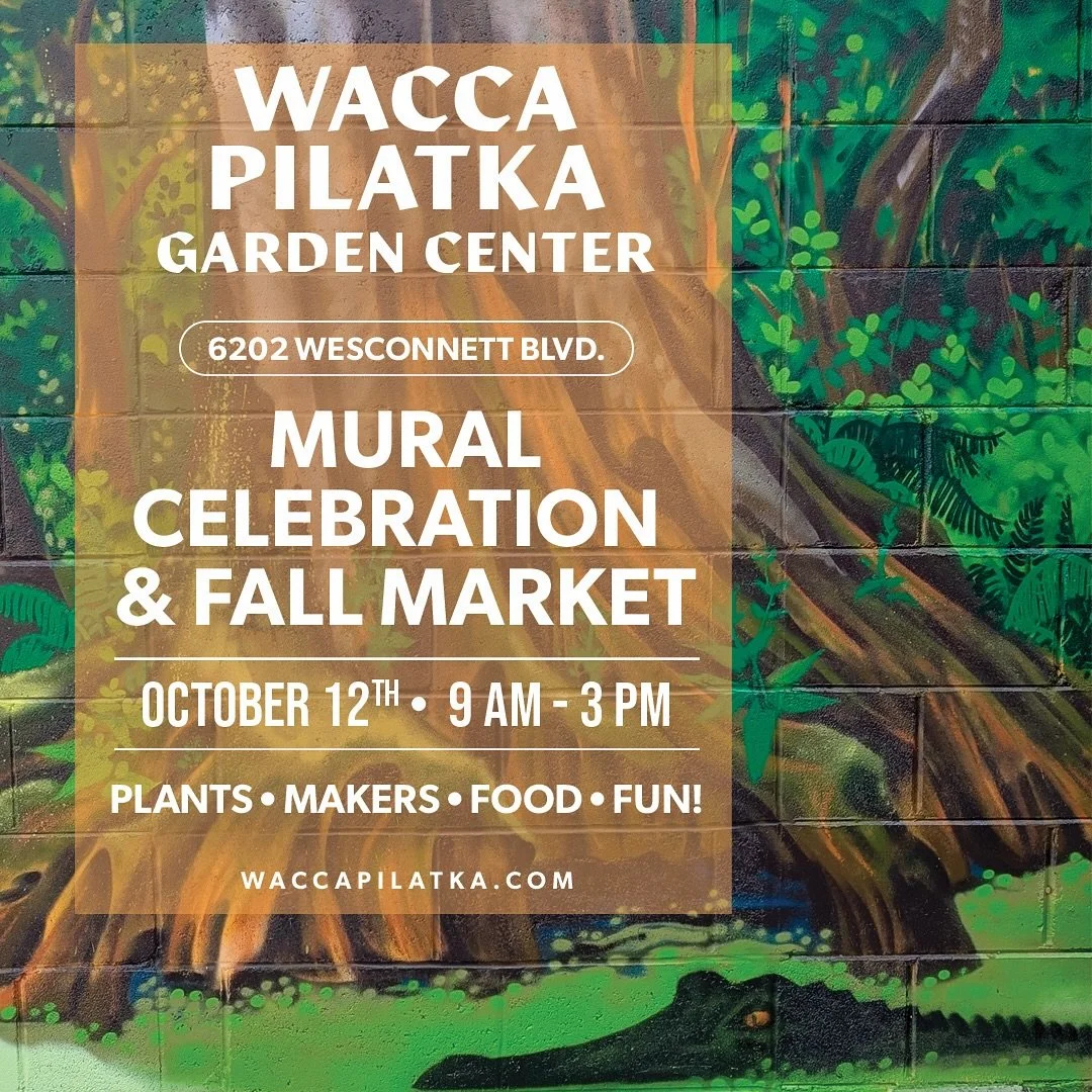 THIS SUNDAY from 9-2! Join us at Wacca Pilatka Garden Center, Jacksonville’s newest native and Florida friendly plant nursery, for a special day of community as we unveil a brand new mural by renowned artist @shaunthurston! To mark the occasion