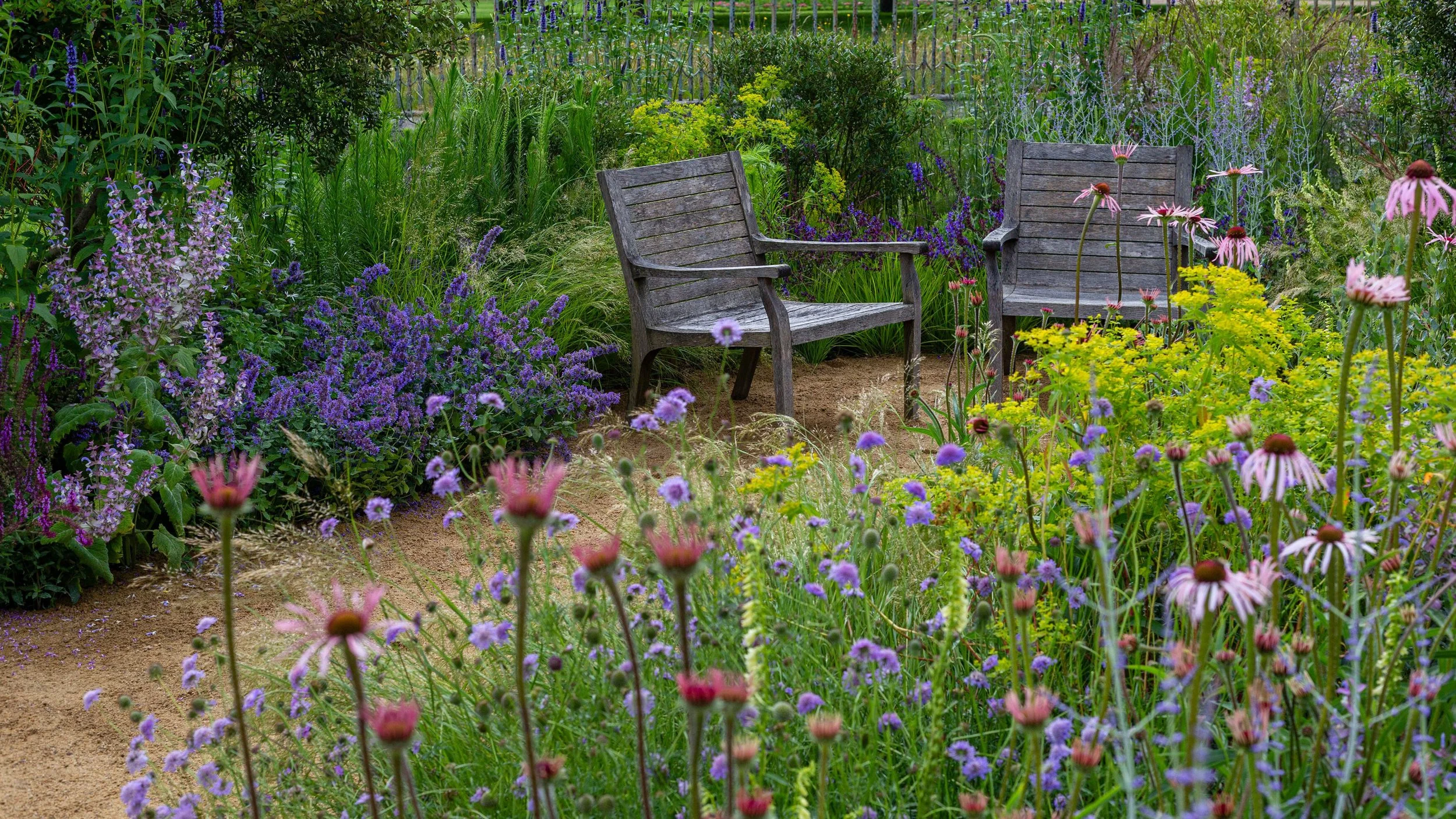 SENSORY GARDENS FOR FLORIDA LANDSCAPES