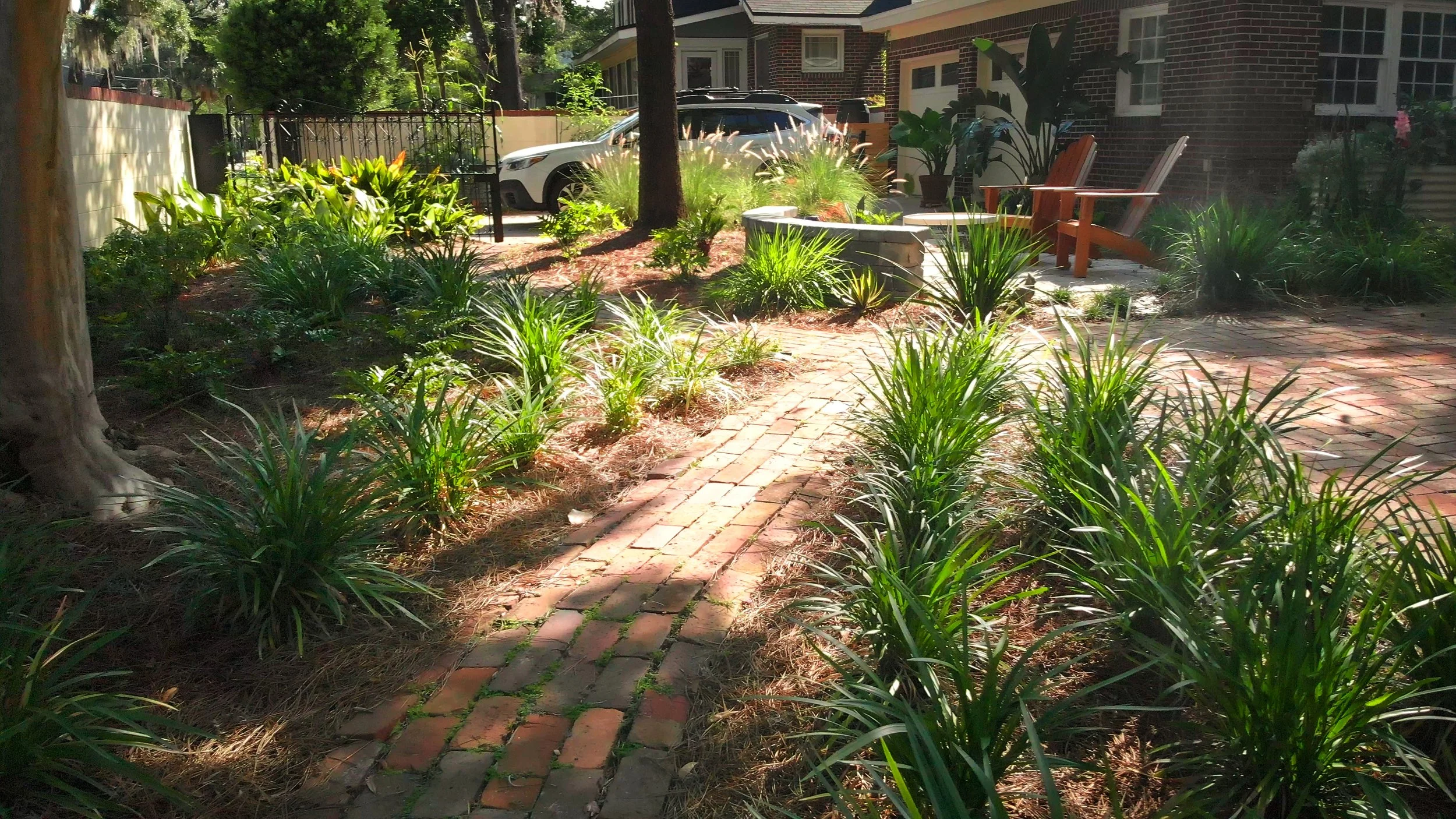 image_123650291 (5).JPG