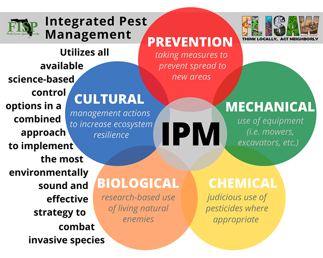 INVASIVE PLANT MANAGEMENT IN FLORIDA ECOSYSTEMS — Wacca Pilatka ...
