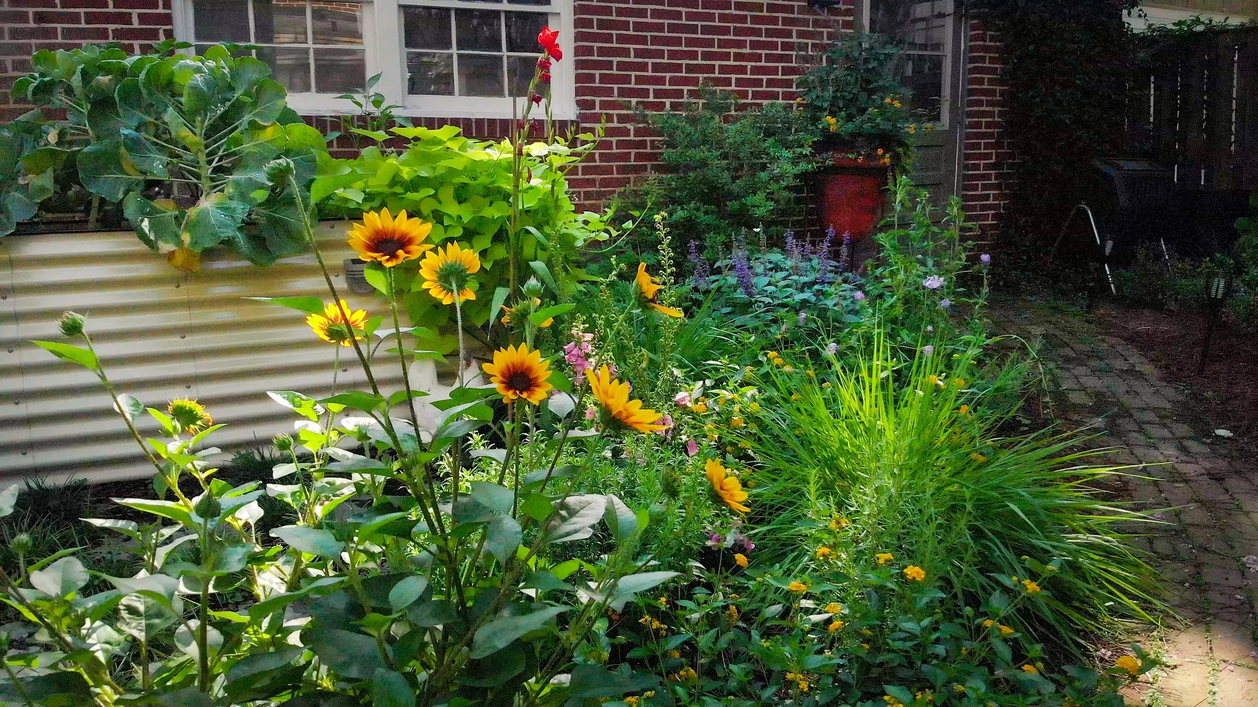 image_123650291 (11).JPG