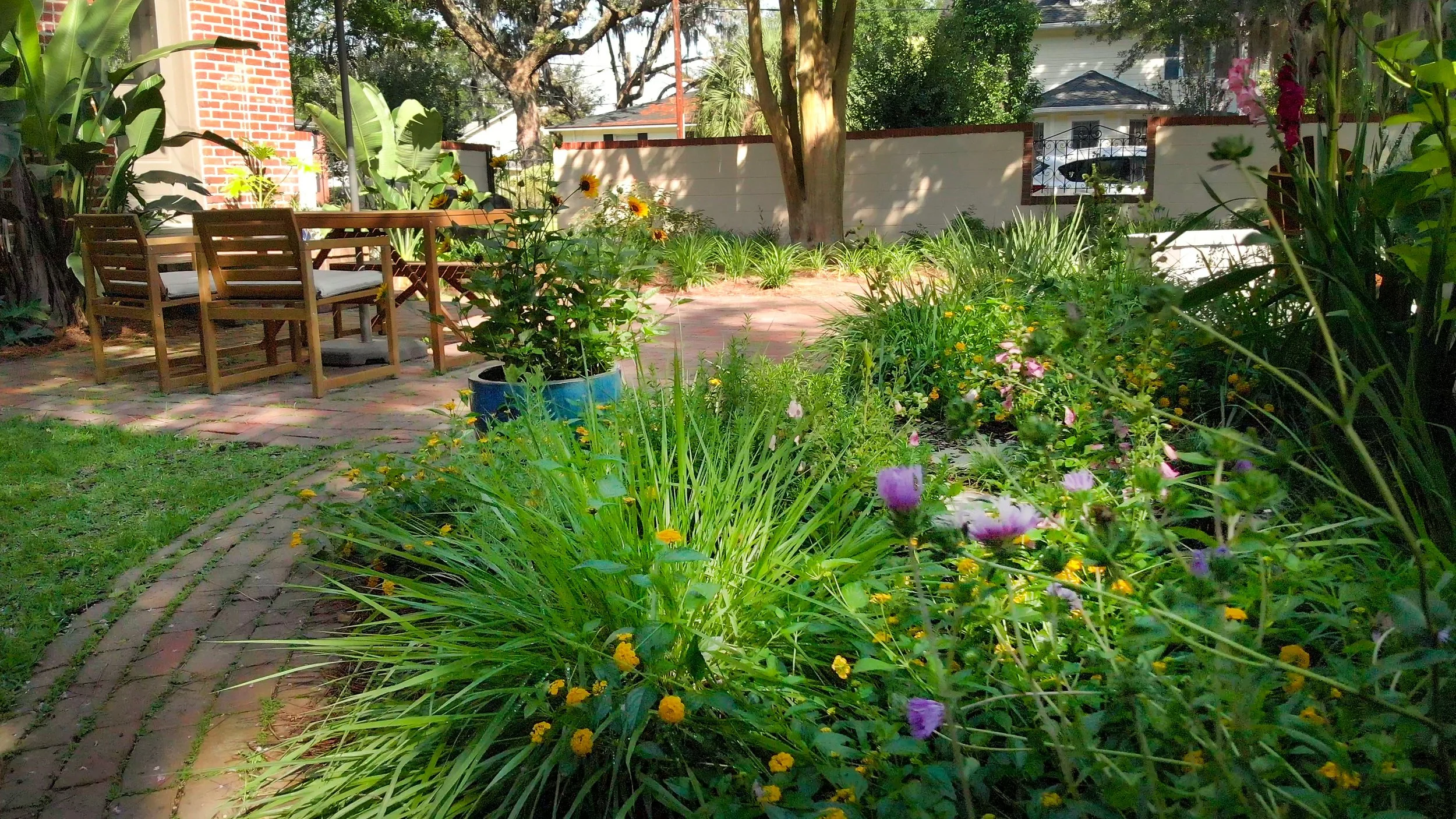 image_123650291 (6).JPG