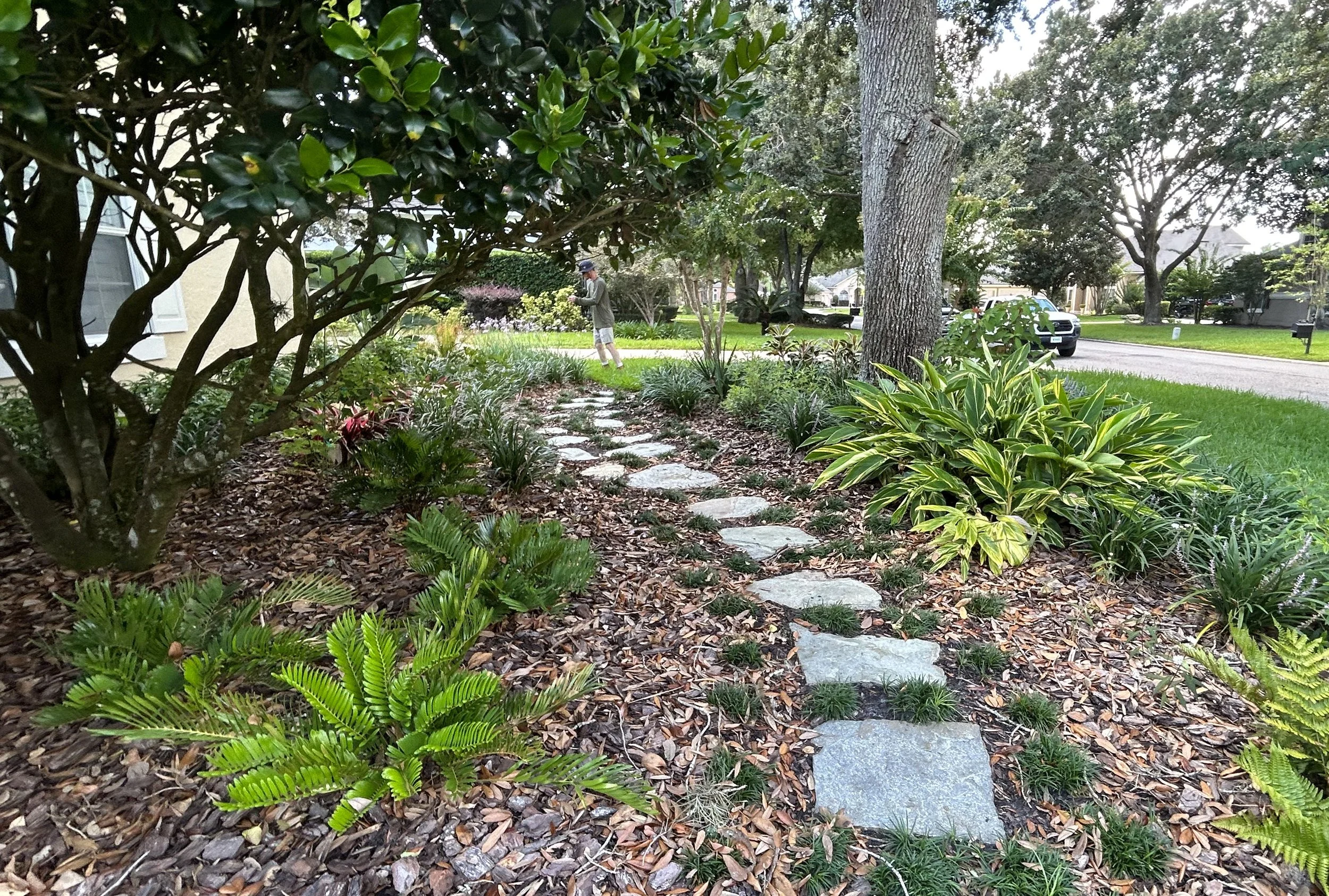 HOW FLORIDA-FRIENDLY PLANTS AND REDUCING TURF CAN HELP SAVE BOTH THE ...