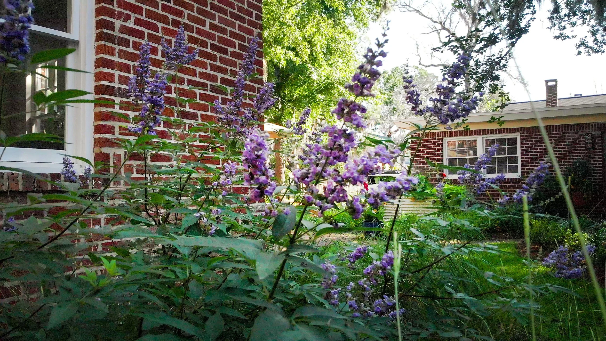 image_123650291 (8).JPG