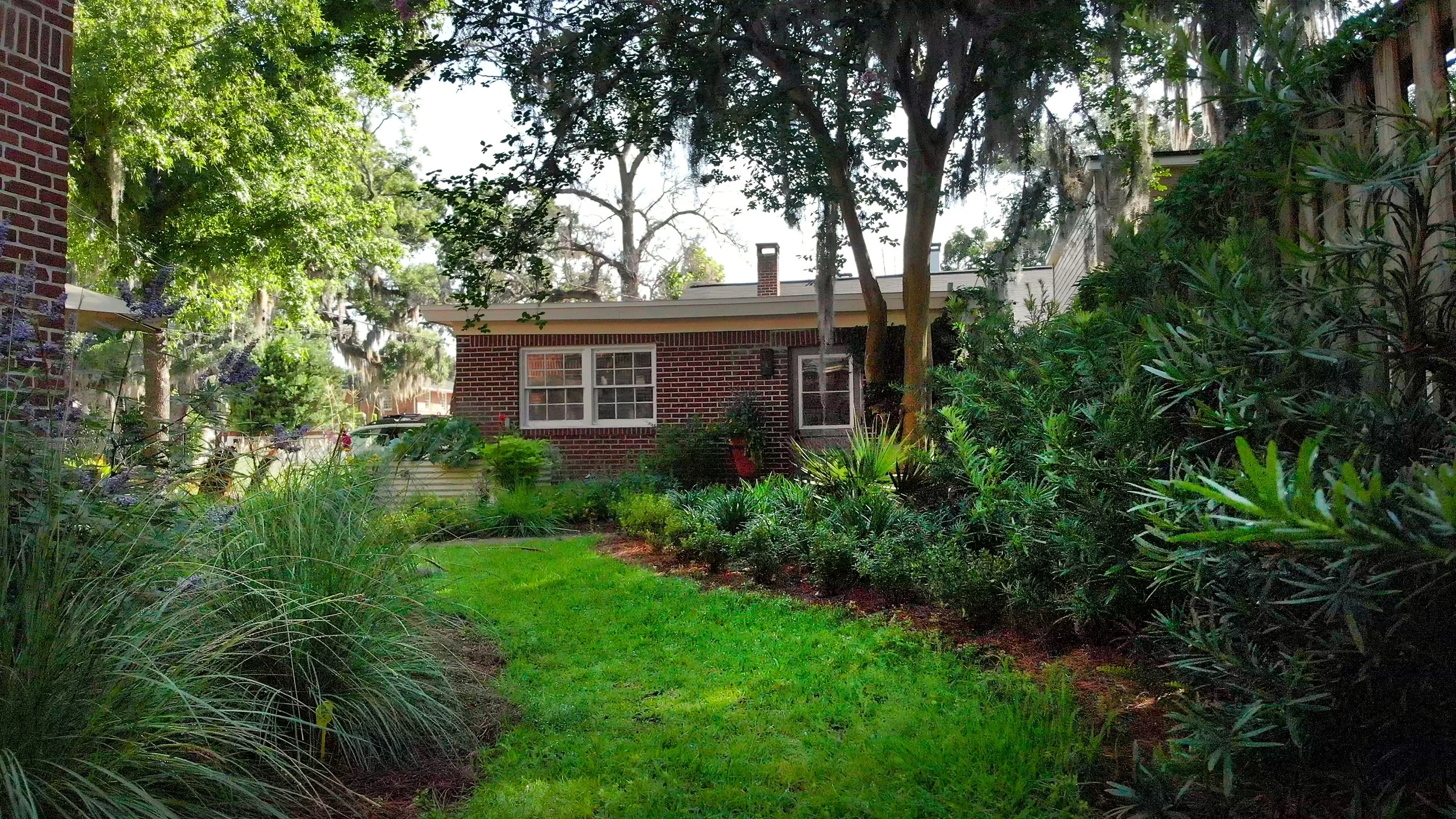 image_123650291 (7).JPG