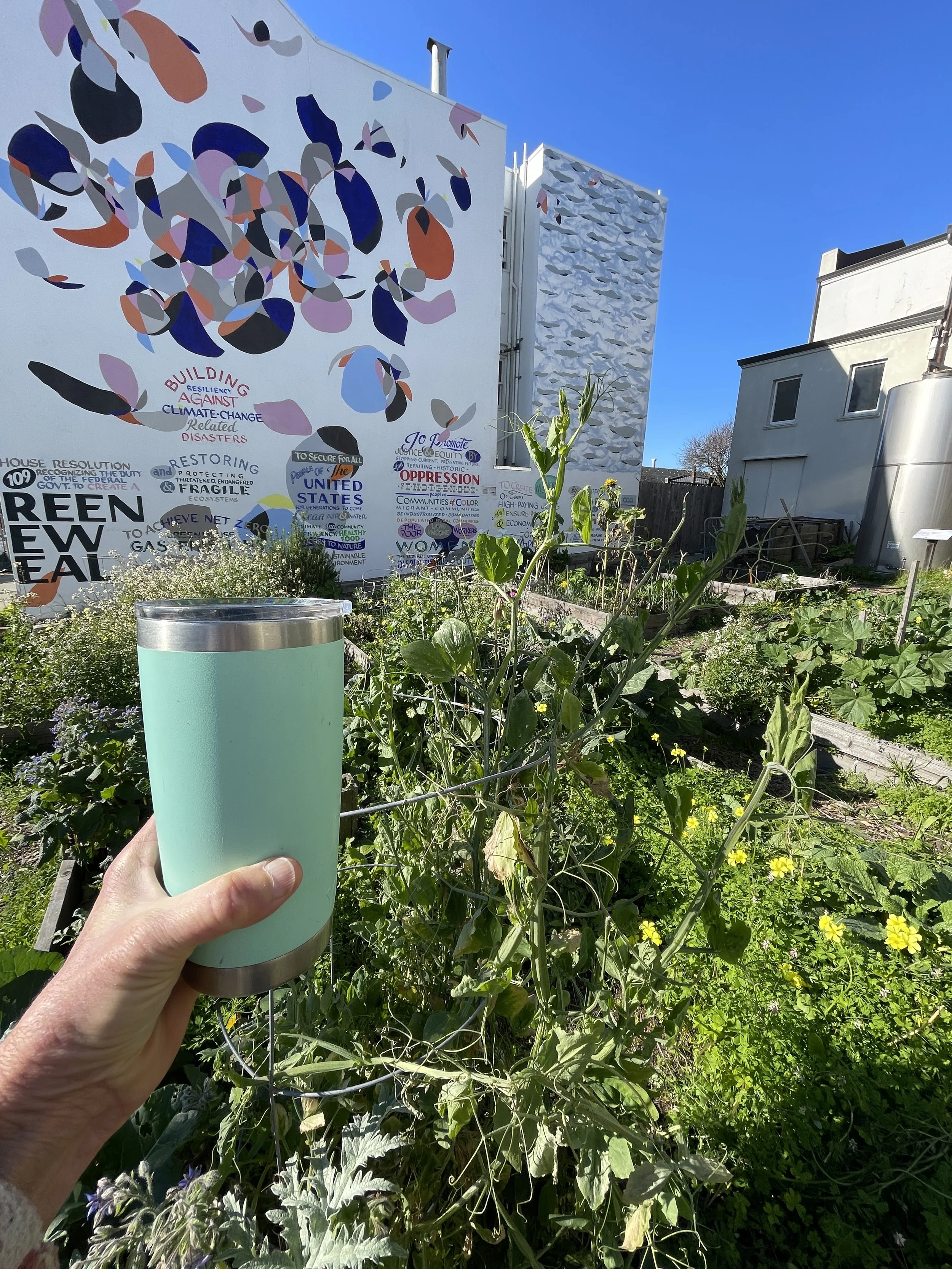 COFFEE in the GARDEN! 