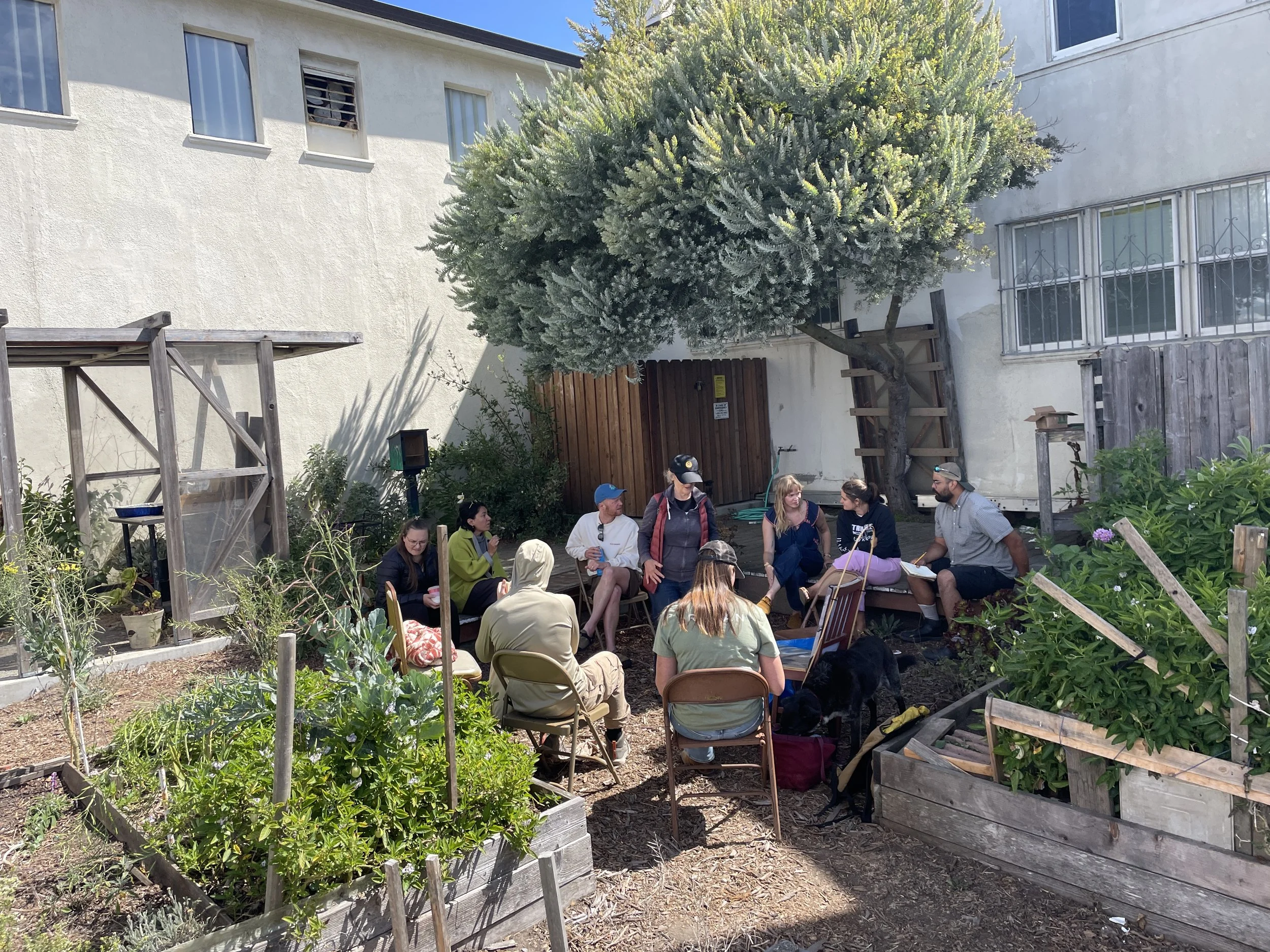 COFFEE in the GARDEN &amp; Recipe &amp; Seed Swap!