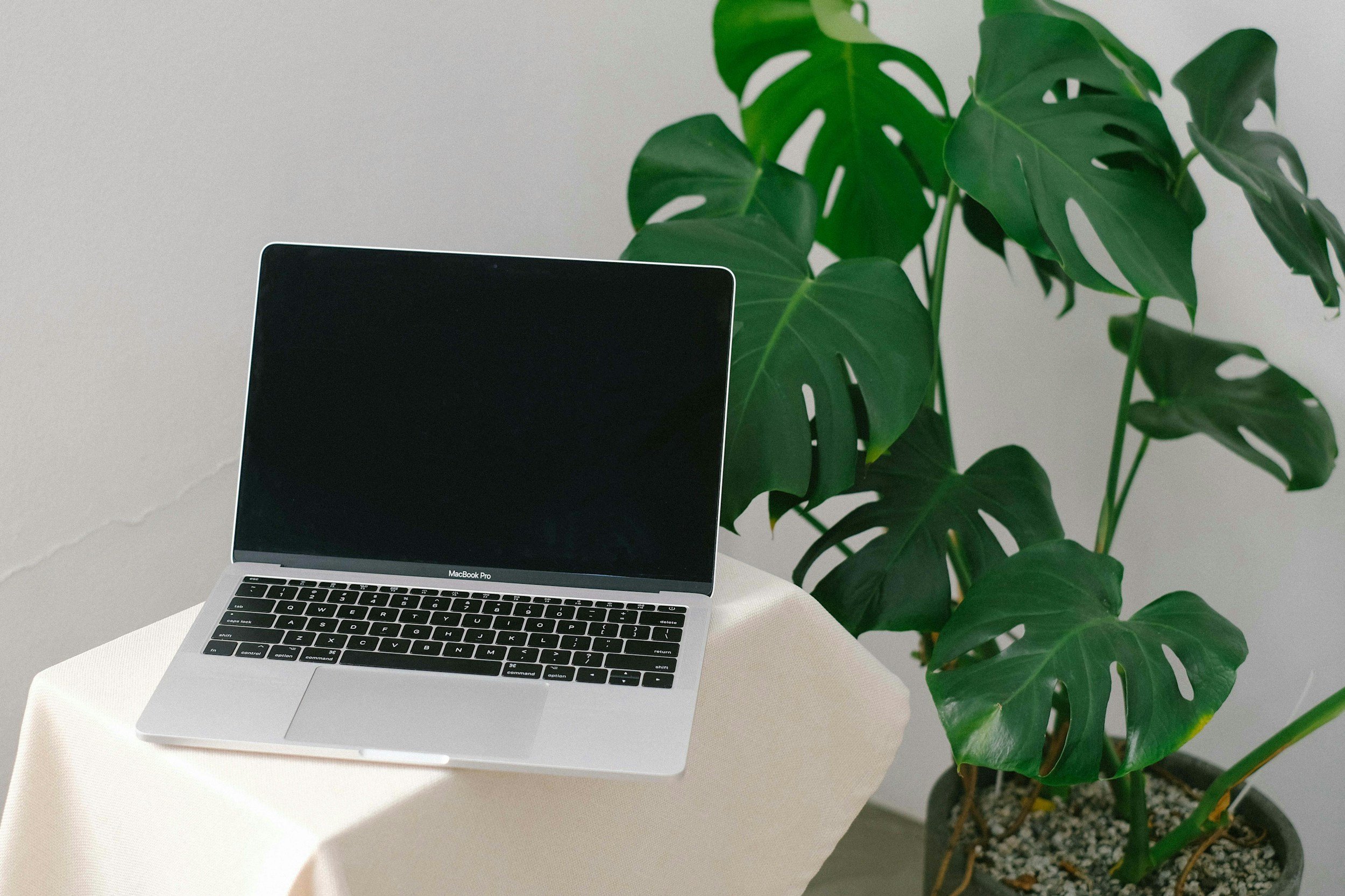 Open MacBook Pro laptop on a beige table with a large green Monstera plant in a black pot nearby.