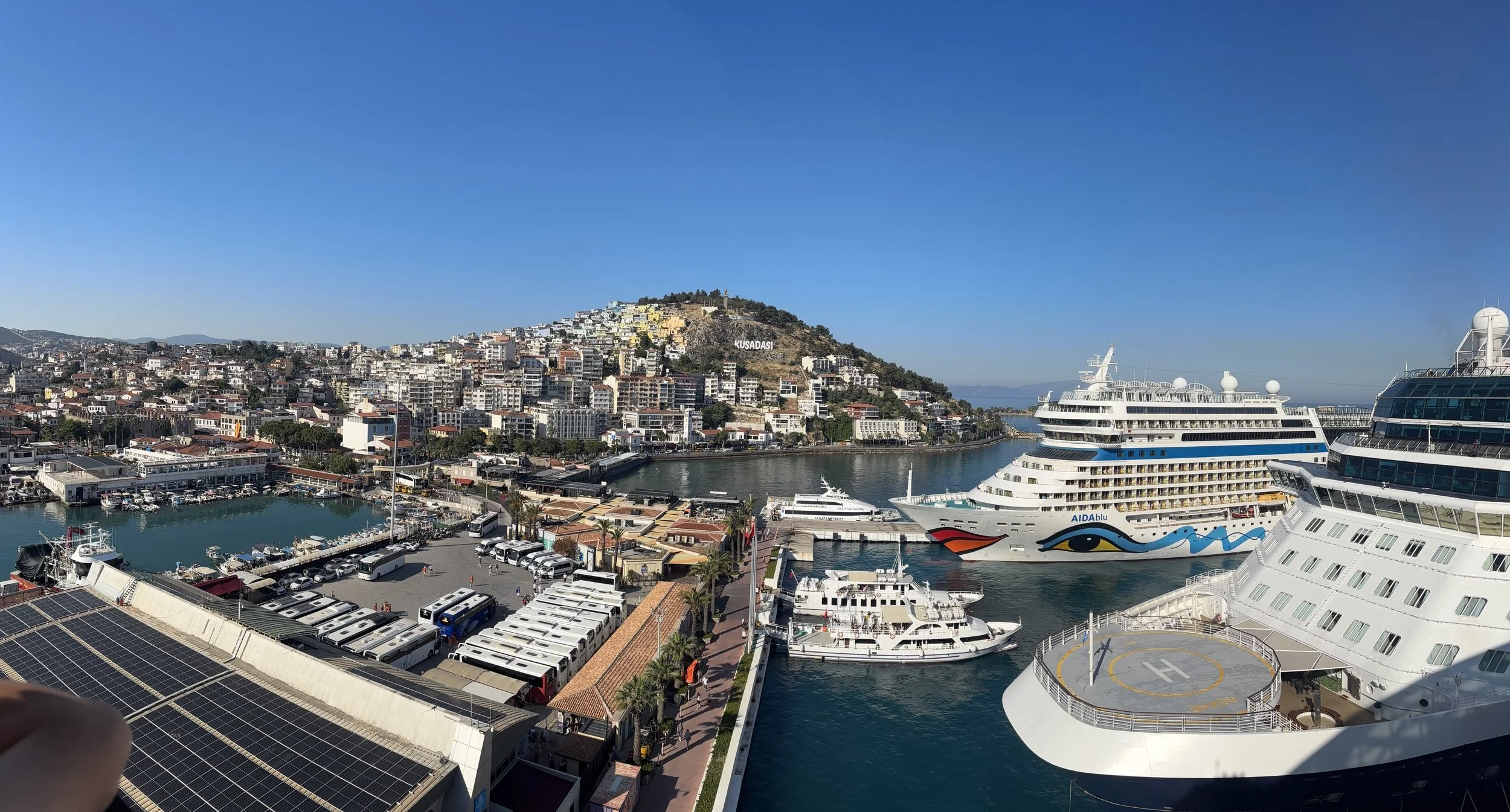 Mediterranean