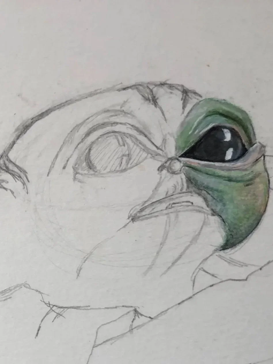 Pencil and colored pencil sketch