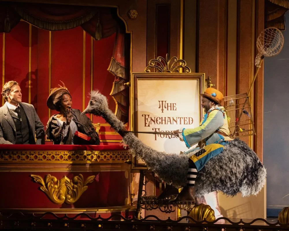 Photo by Bronwen Sharp,
The Magic Flute