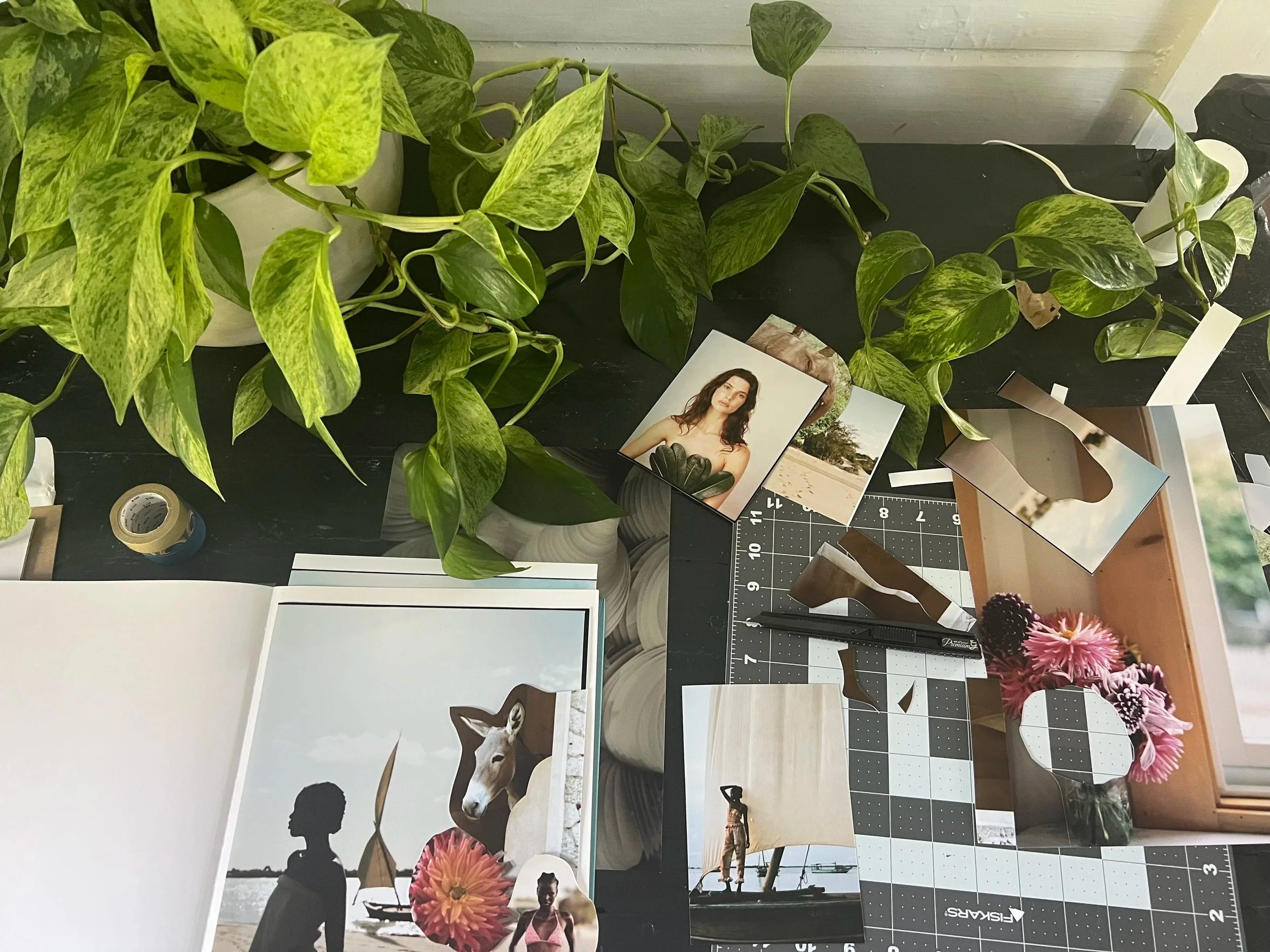 A black table with a green leafy plant in a white pot, photo prints, a black cutting mat, a black pen, & a small vase of pink flowers.