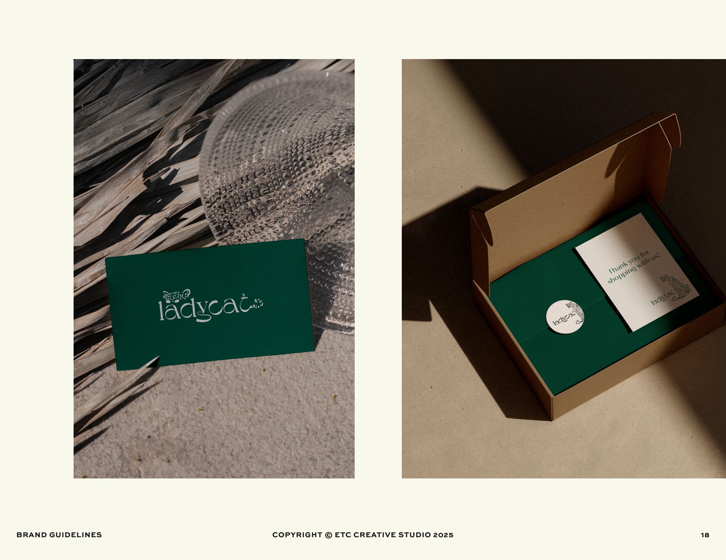 Image of a green LadyCat card placed on sand near a glass sculpture with wooden elements, and a brown box containing thank you notes and a circular LadyCat sticker.