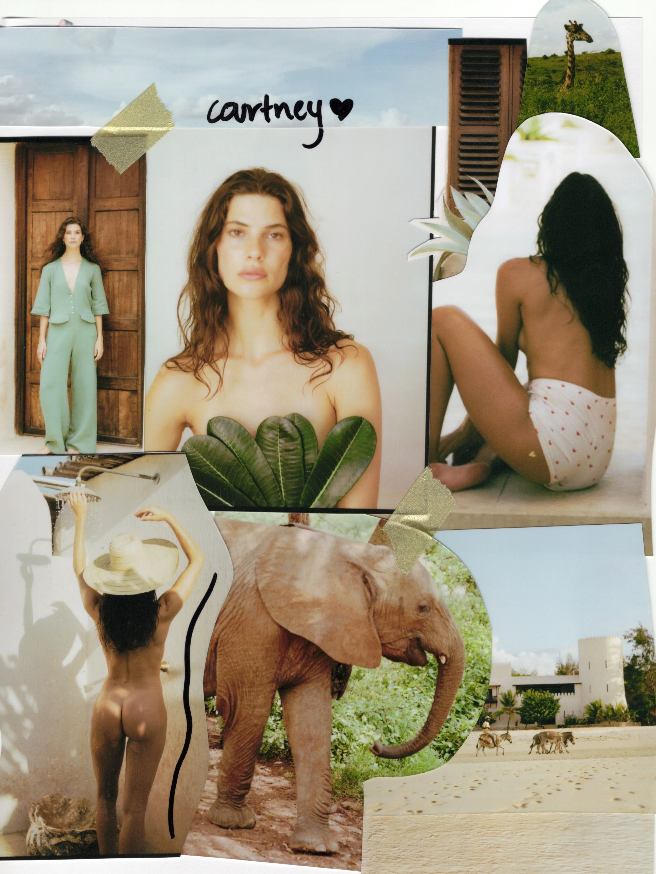 A collage of various images including a woman with curly hair sitting on the beach, a woman in a green pantsuit, a close-up of a woman's face, a sister with a hat, a baby elephant, a giraffe, a castle, and some greenery.