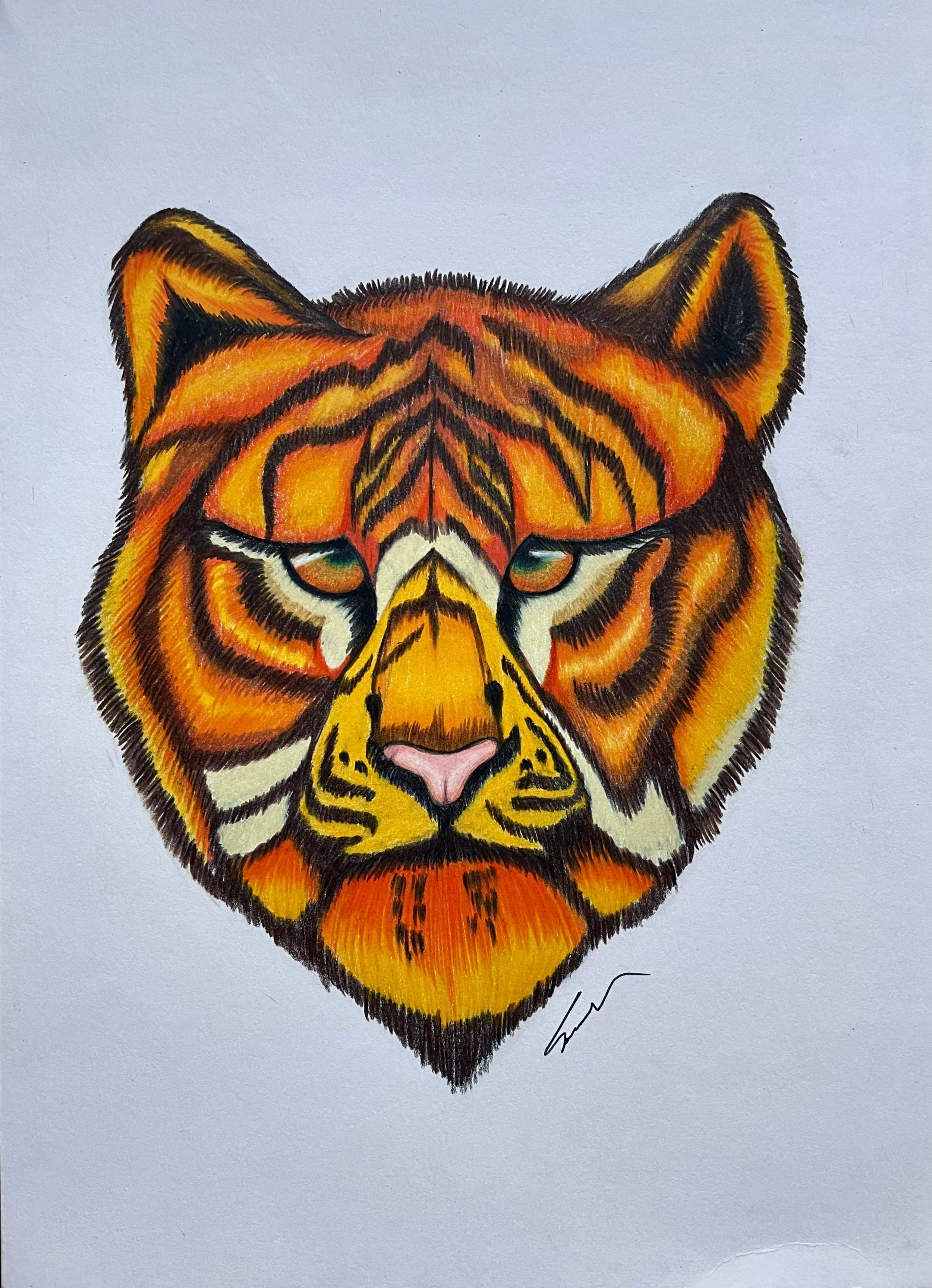 Tiger Portrait - Colored Pencil on Canson Mixed Media Medium Grain Paper [27.9x35.6cm]