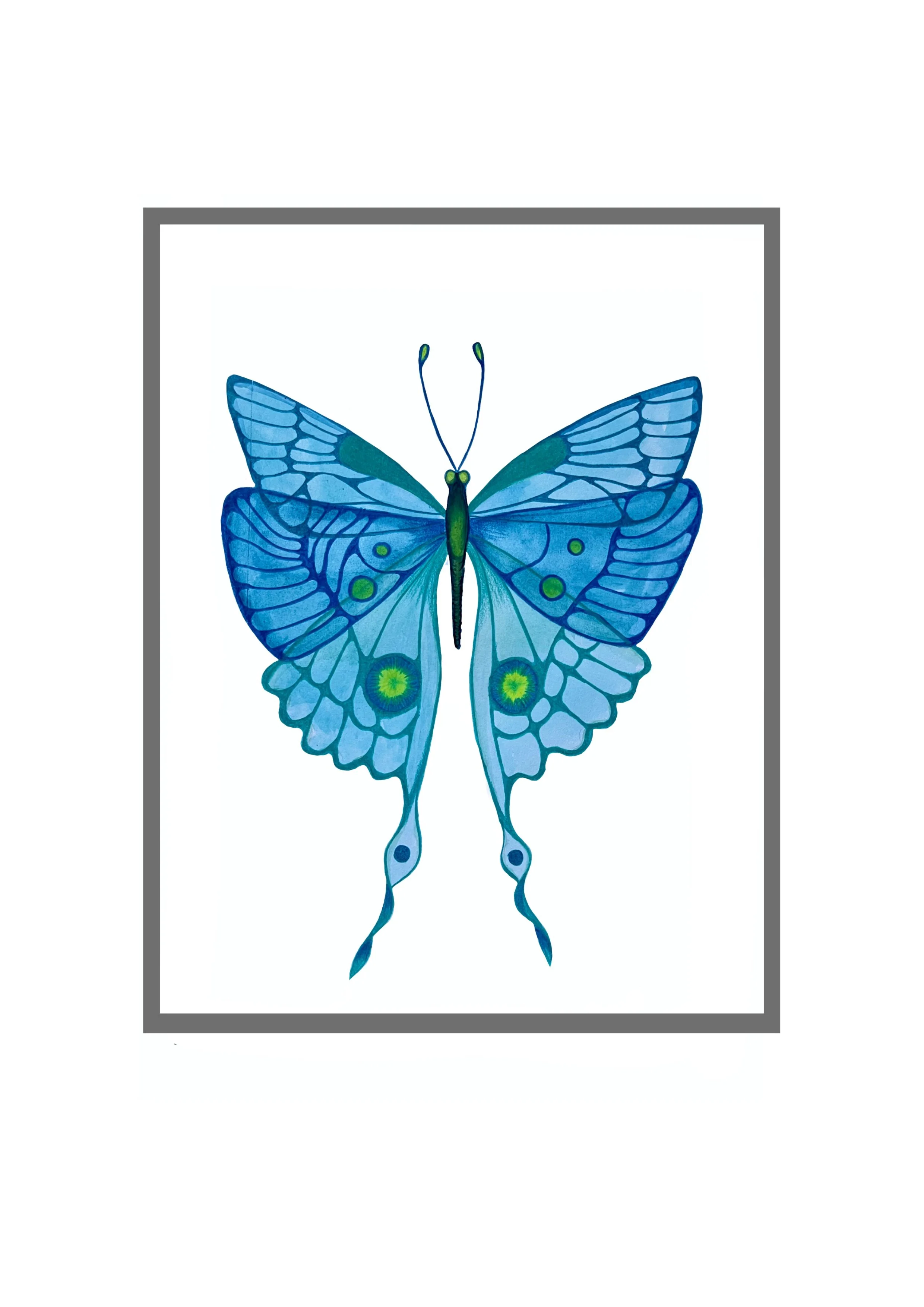 Butterfly Illustration - Watercolor and Colored Pencil on Grumbacher Mixed Media Paper [14x21.6cm]