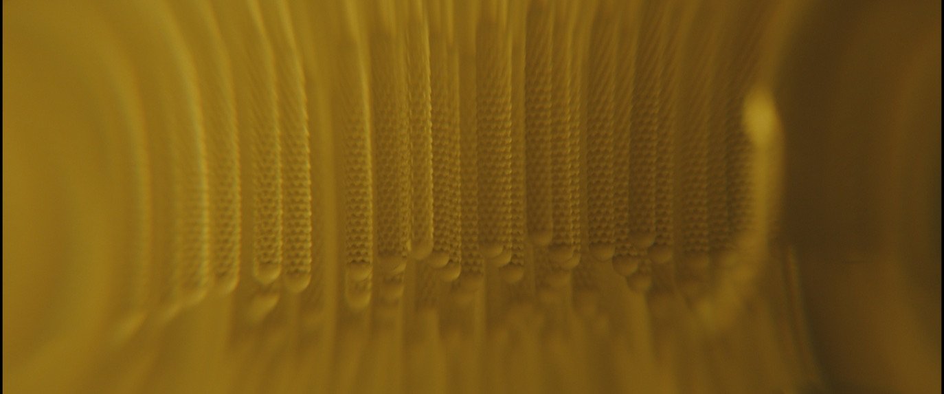 850803F4-18C2-4213-8EC1-32740C08CBB8_1_105_c.jpeg