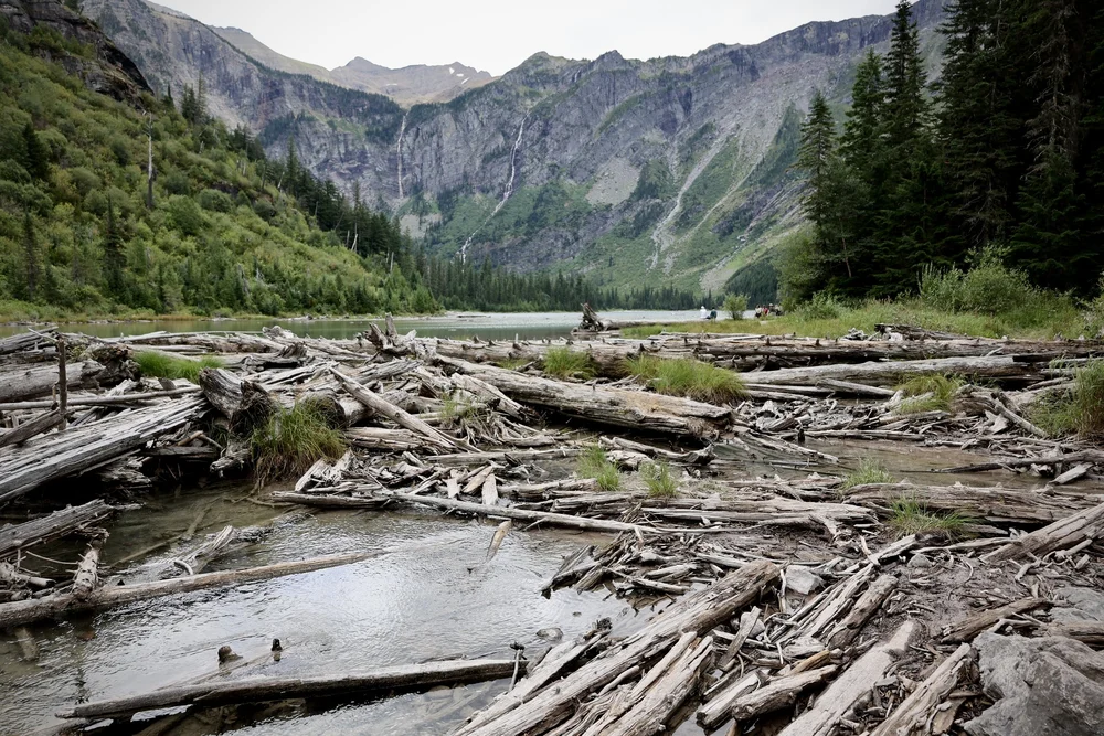 Avalanche Lake