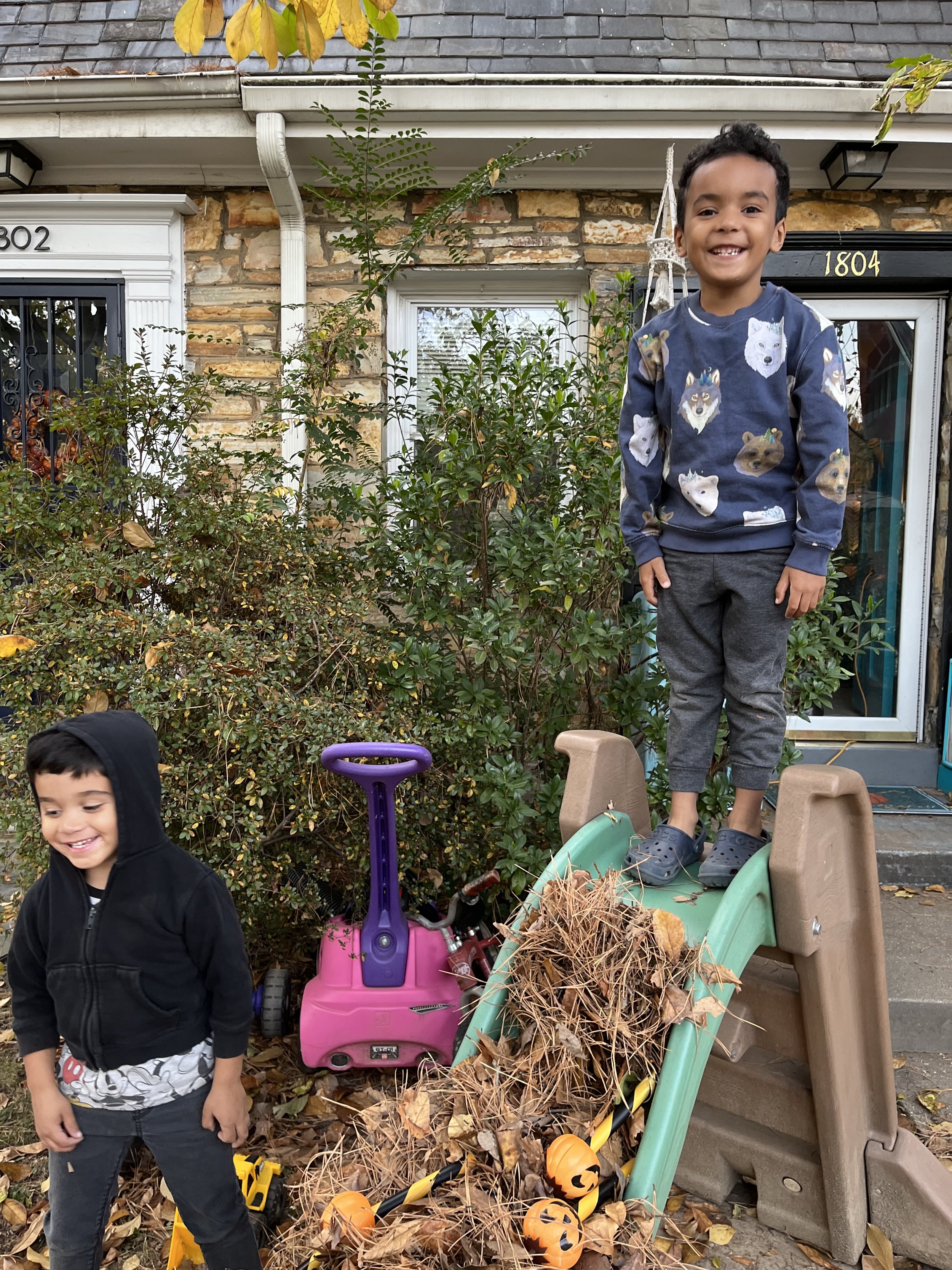 Come into your emotional rescue