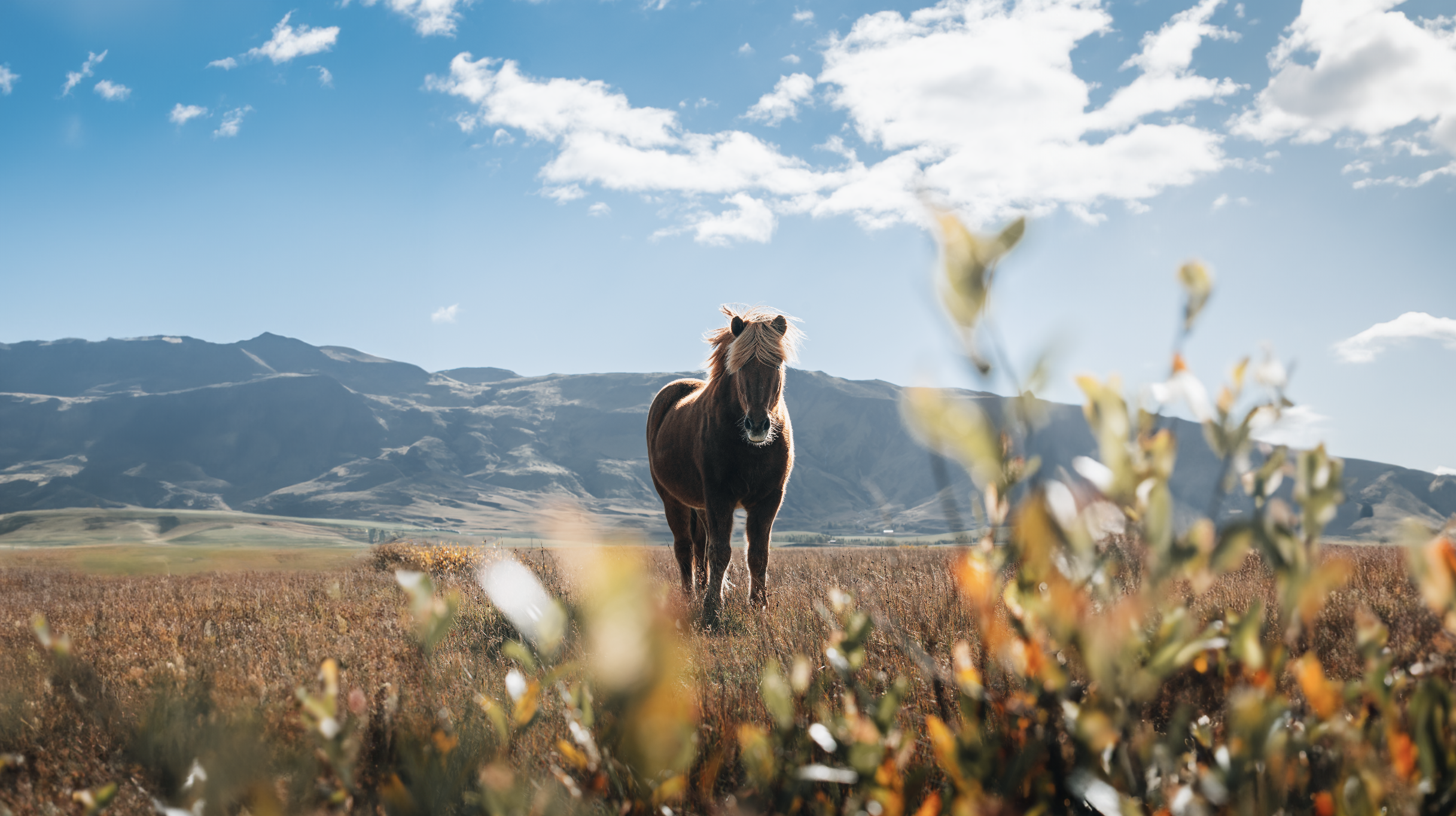 Screenshot 2023-09-08 at 10.36.51 am.png