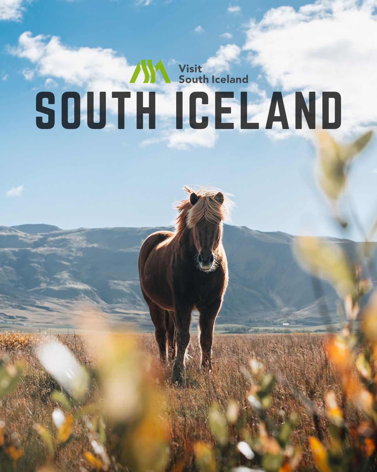 Visit South Iceland Thumbnail (1).png