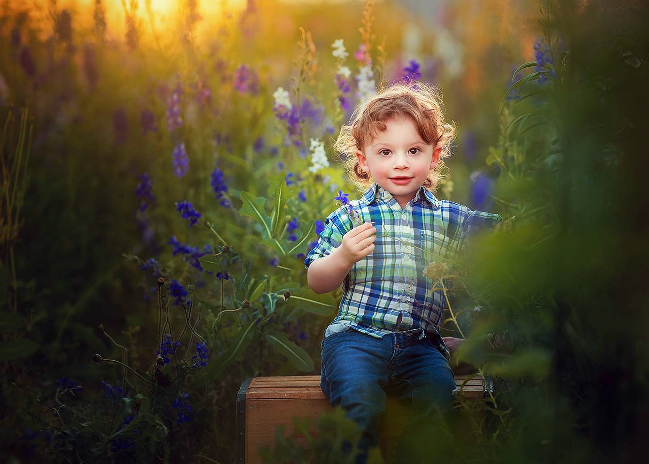 Toddler boy holding a small flower during a gentle, natural light portrait session in New Jersey.