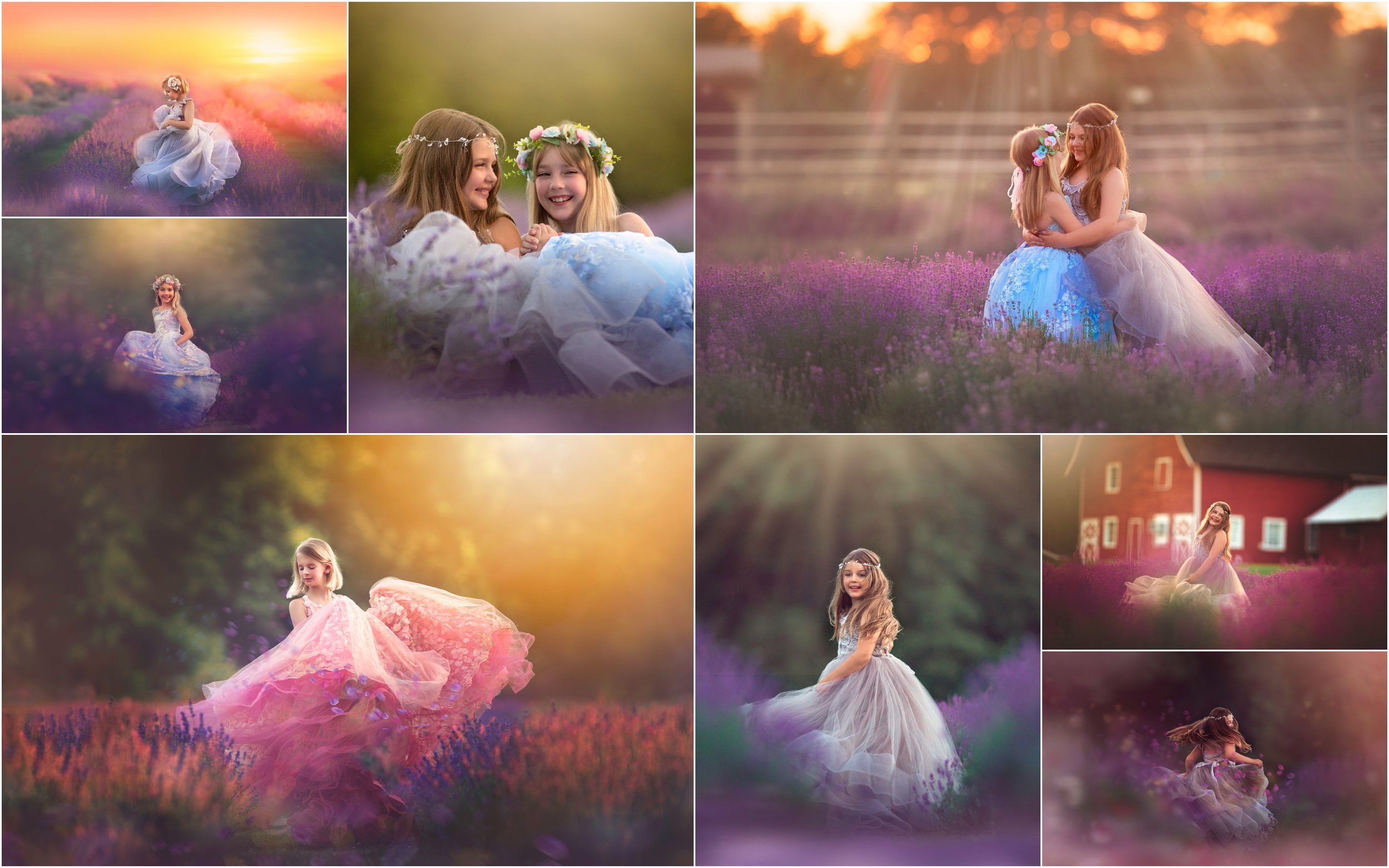 Magical lavender.jpg