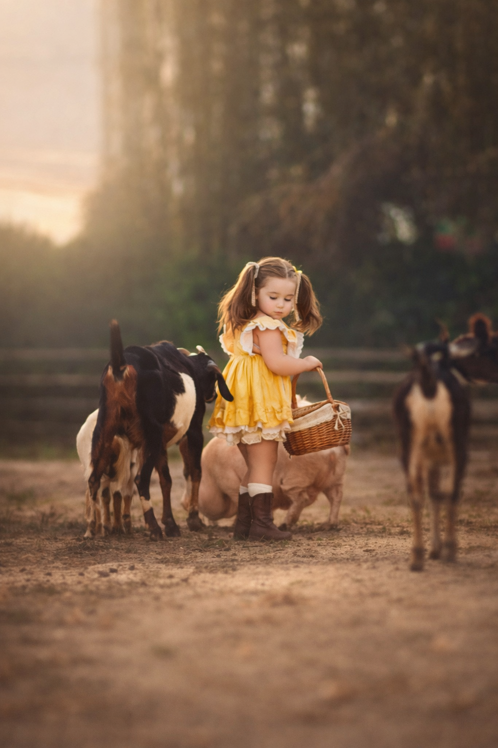 Little girl in a yellow dress walking with goats during a golden hour farm portrait session in South Jersey