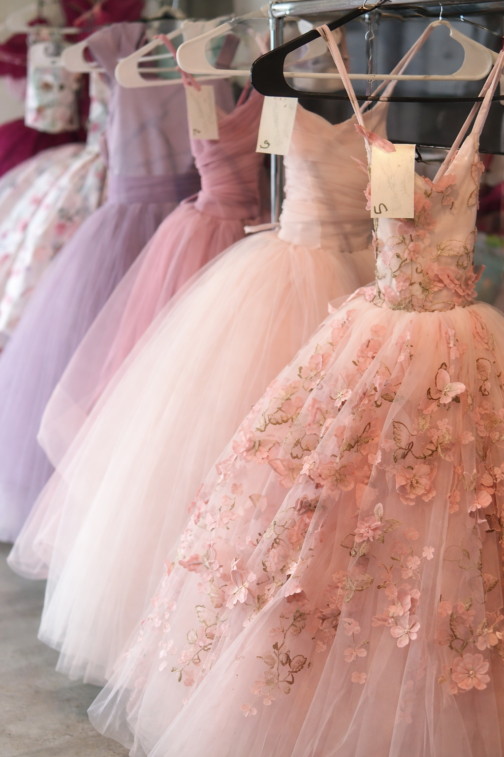 an arrangement of some of our dress selections with shooting star photography