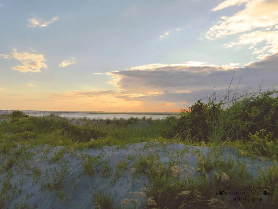Coastal landscape at Cape May Point State Park in South Jersey.