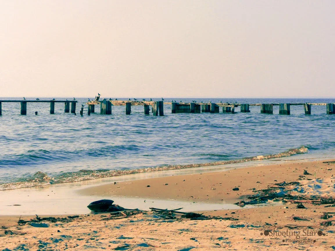 Quiet coastal landscape along the Delaware Bay in South Jersey.