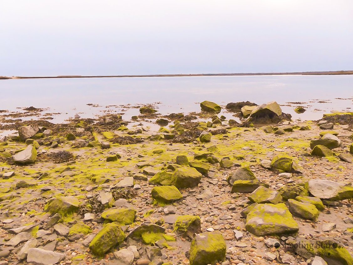 Coastal landscape at Corson’s Inlet in South Jersey.