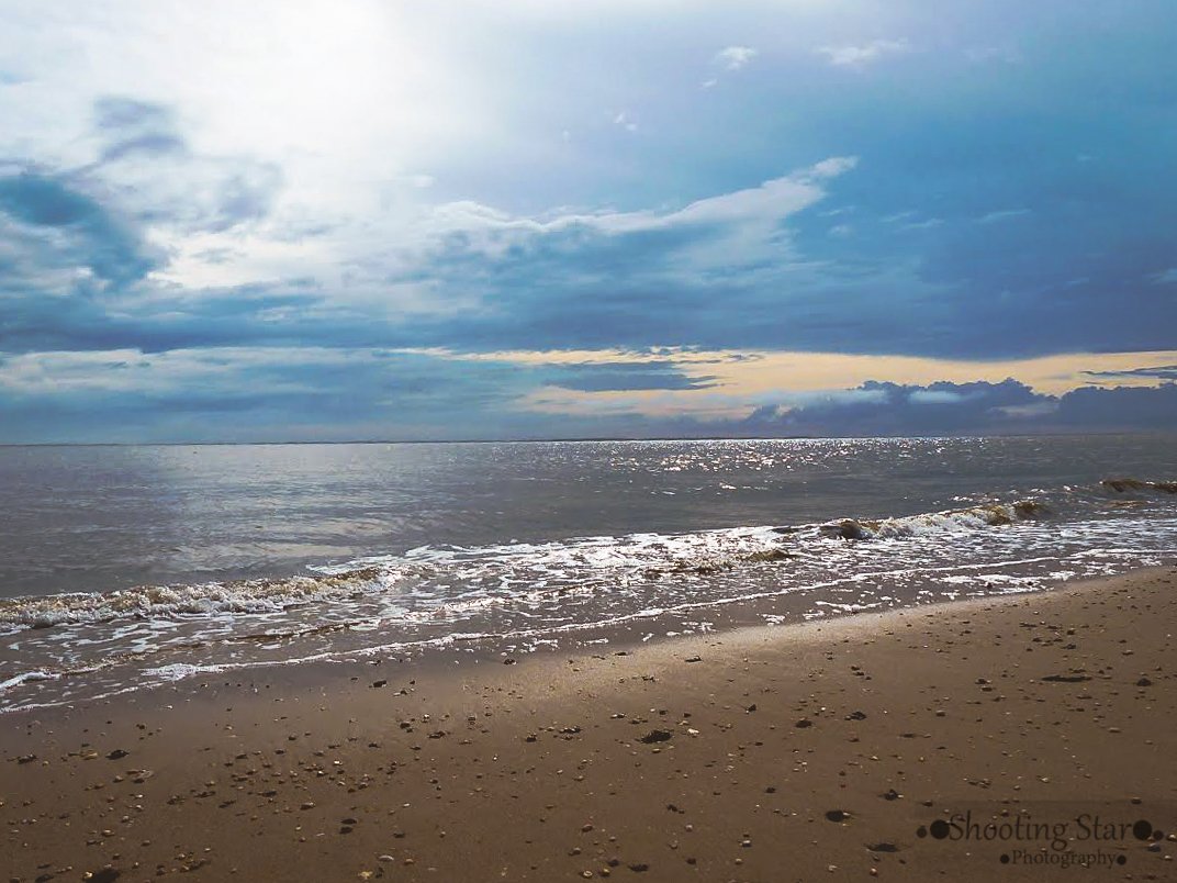 Scenic marsh landscape at Edwin B. Forsythe National Wildlife Refuge in South Jersey.