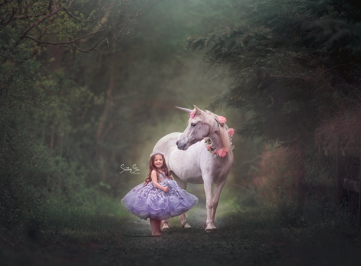 Art Photography Unicorn