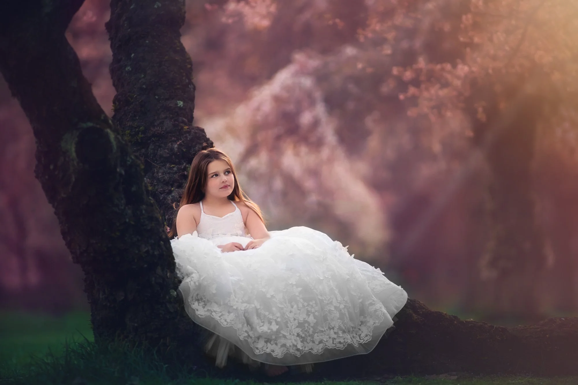 Young girl sitting in a cherry blossom tree during a spring portrait session in Fairmount Park, Philadelphia.