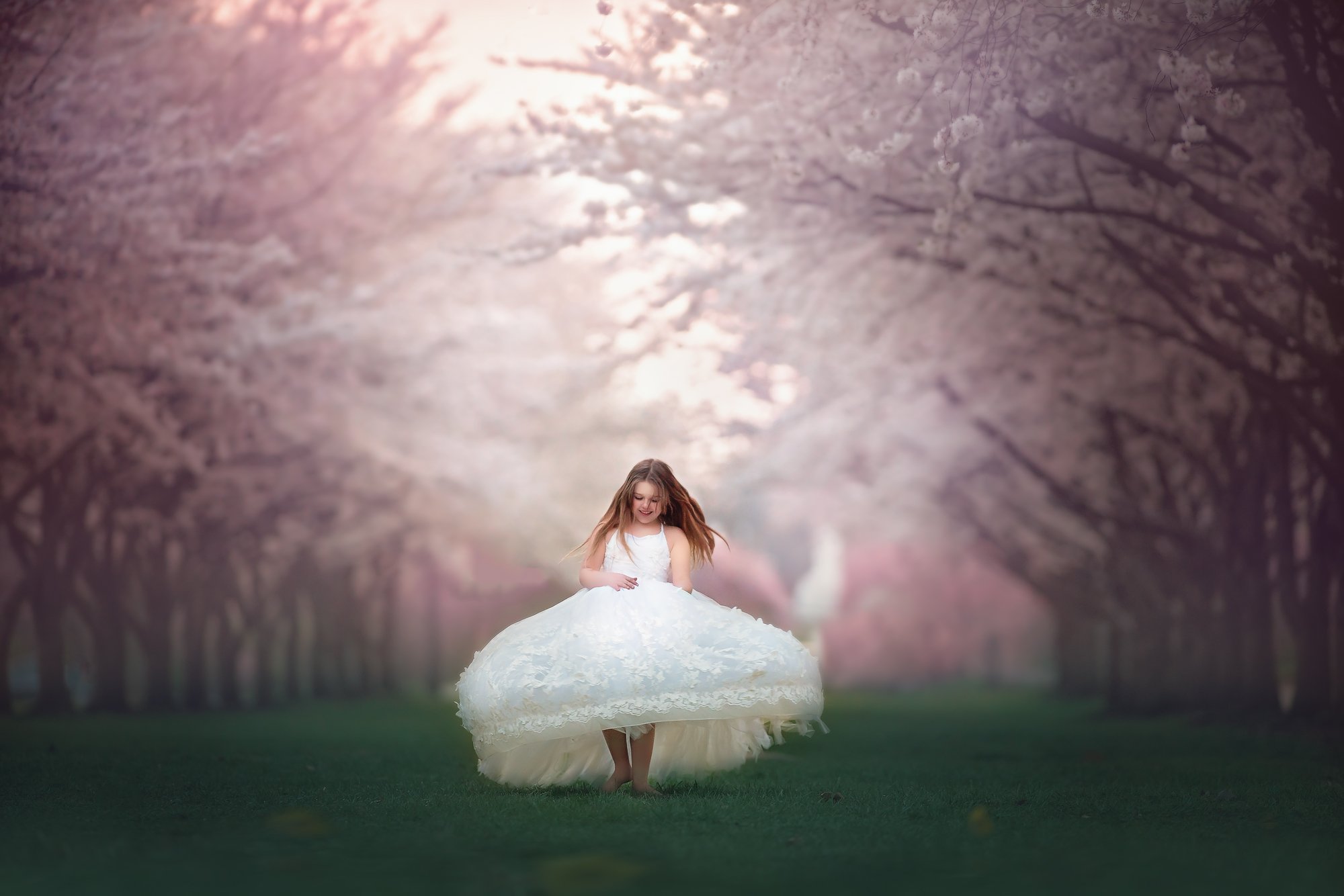 Young girl twirling in a white dress surrounded by cherry blossoms during a spring portrait session in Fairmount Park, Philadelphia.