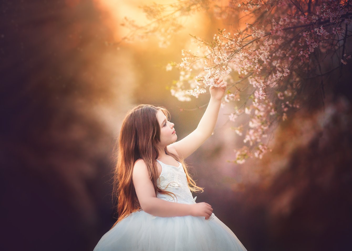 Young girl holding onto a cherry blossom tree during a spring portrait session in Fairmount Park, Philadelphia.