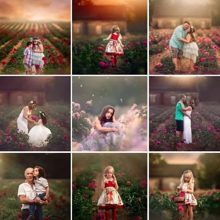 Collage of peony portrait sessions in South Jersey featuring families and children in flower fields