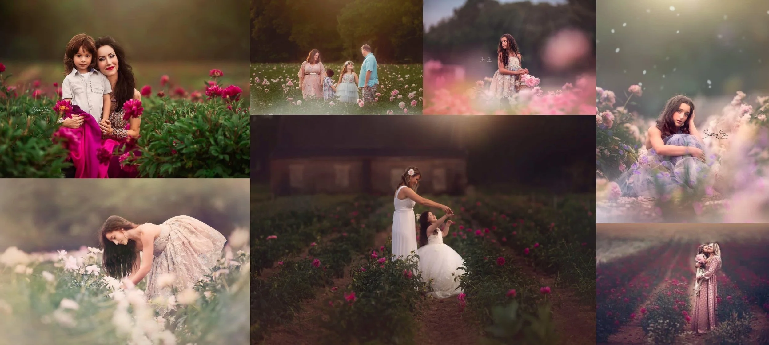 Collage of family portrait sessions in peony fields in South Jersey