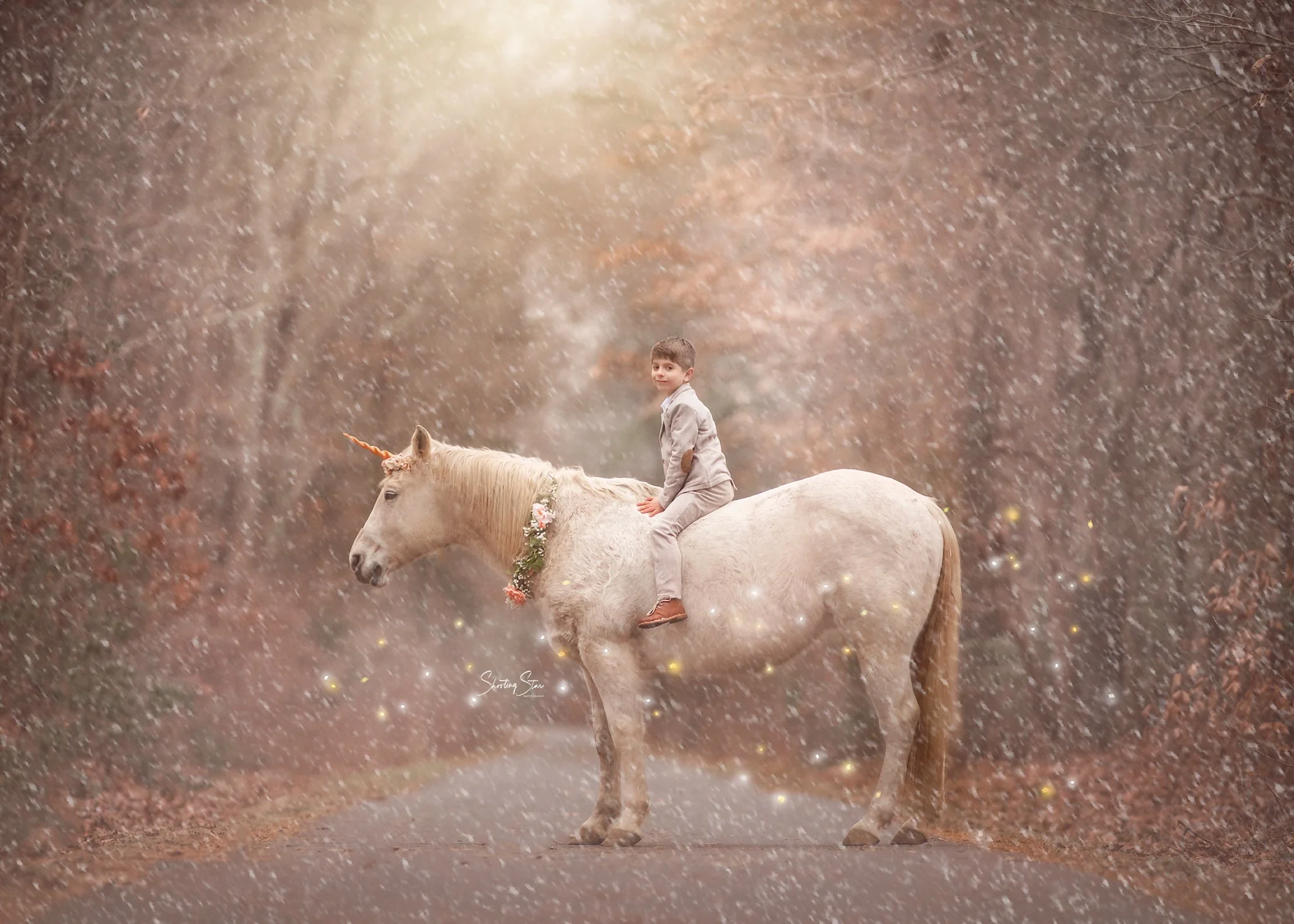 A young boy seated on Drifter the unicorn during a magical unicorn portrait session.