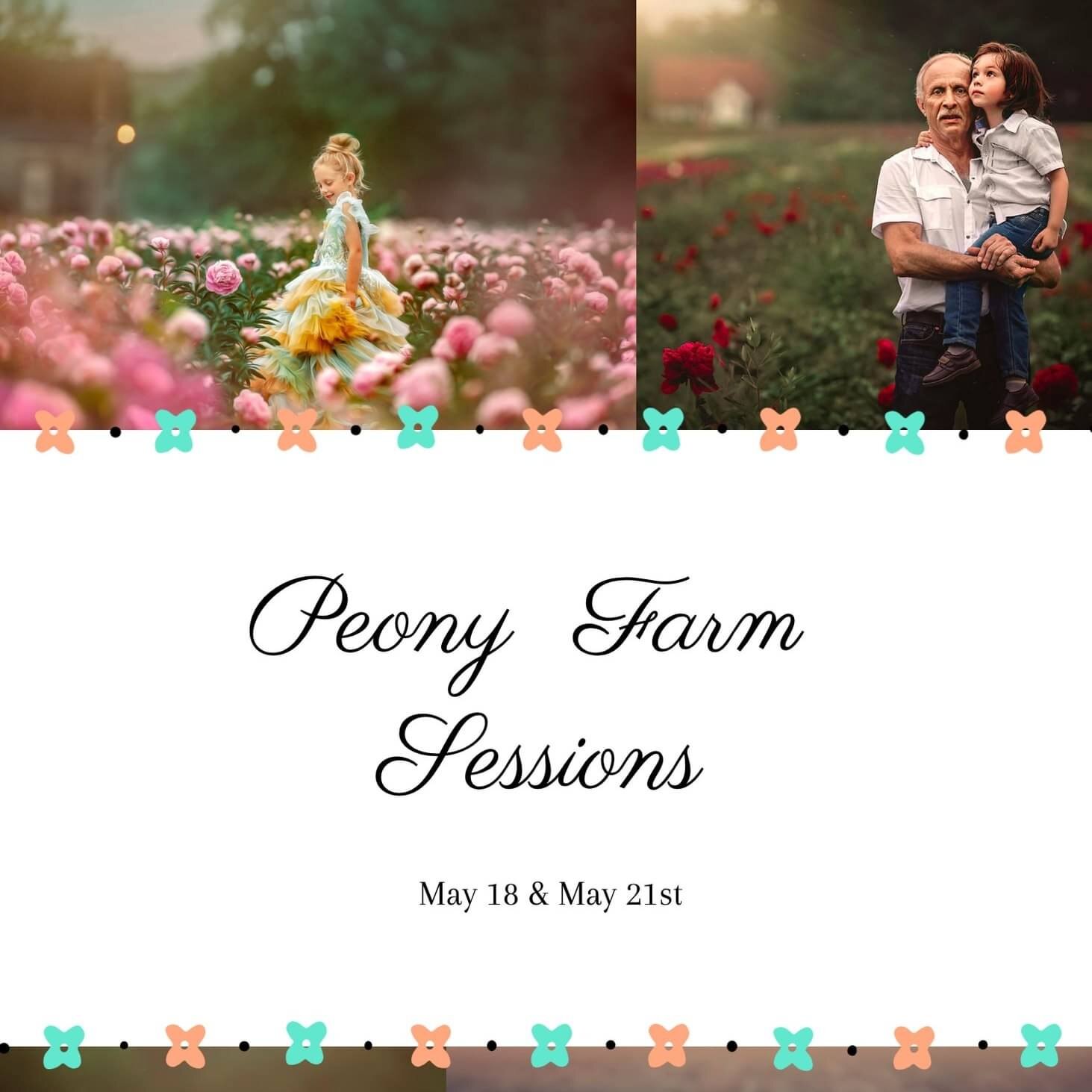 Our award-winning exclusive peony sessions have been released. We are the only photographer permitted to shoot here since 2015. We will have it exclusively to ourselves.  Peonies are one of my favorites to photograph. As you can see, many color optio