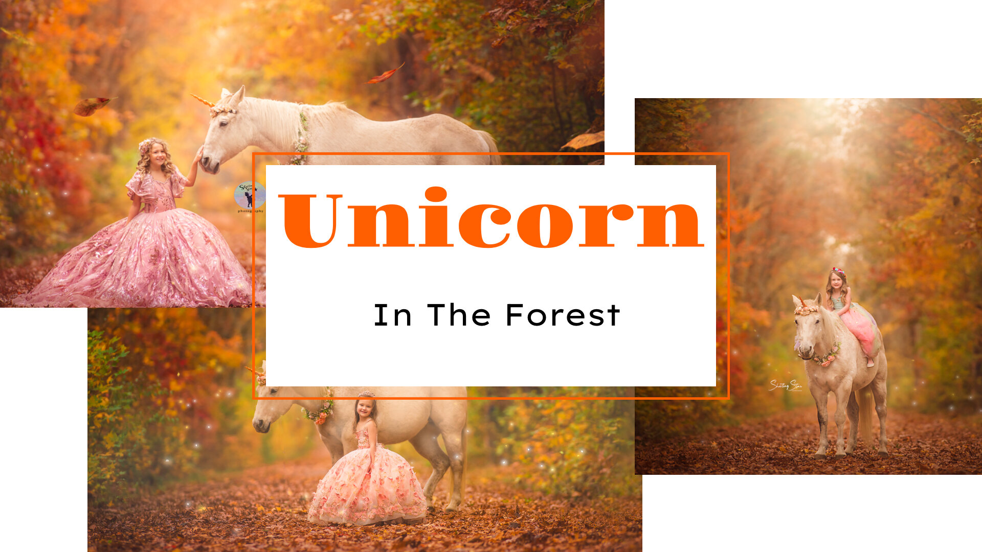 Unleashing the Magic: A Whimsical Unicorn Fall Photo Shoot in New Jersey

Step into a world of enchantment and capture the essence of magic with a whimsical unicorn-themed fall photo shoot in New Jersey. As the autumn leaves paint the landscape in vi