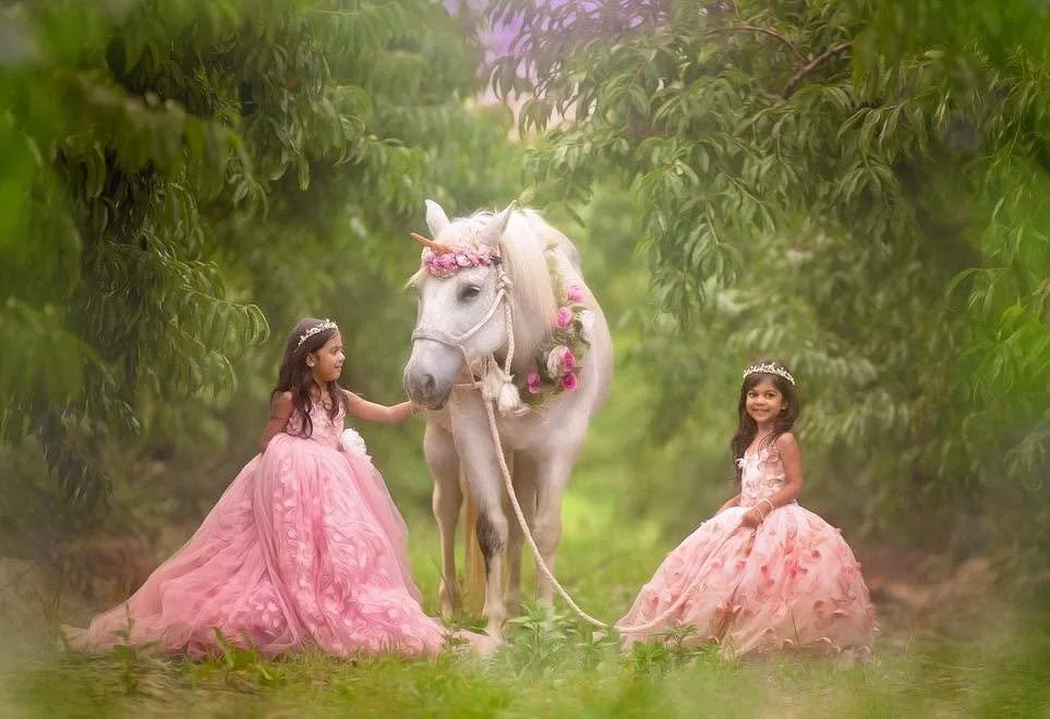 Luxury Gowns Included! ✨
Step into a fairytale &mdash; our couture gowns (like the one pictured) are included in your session.

🦄 A rare unicorn spot just opened for tomorrow evening!
🌟 Super special deal &mdash; one night only.

📩 Message me to r
