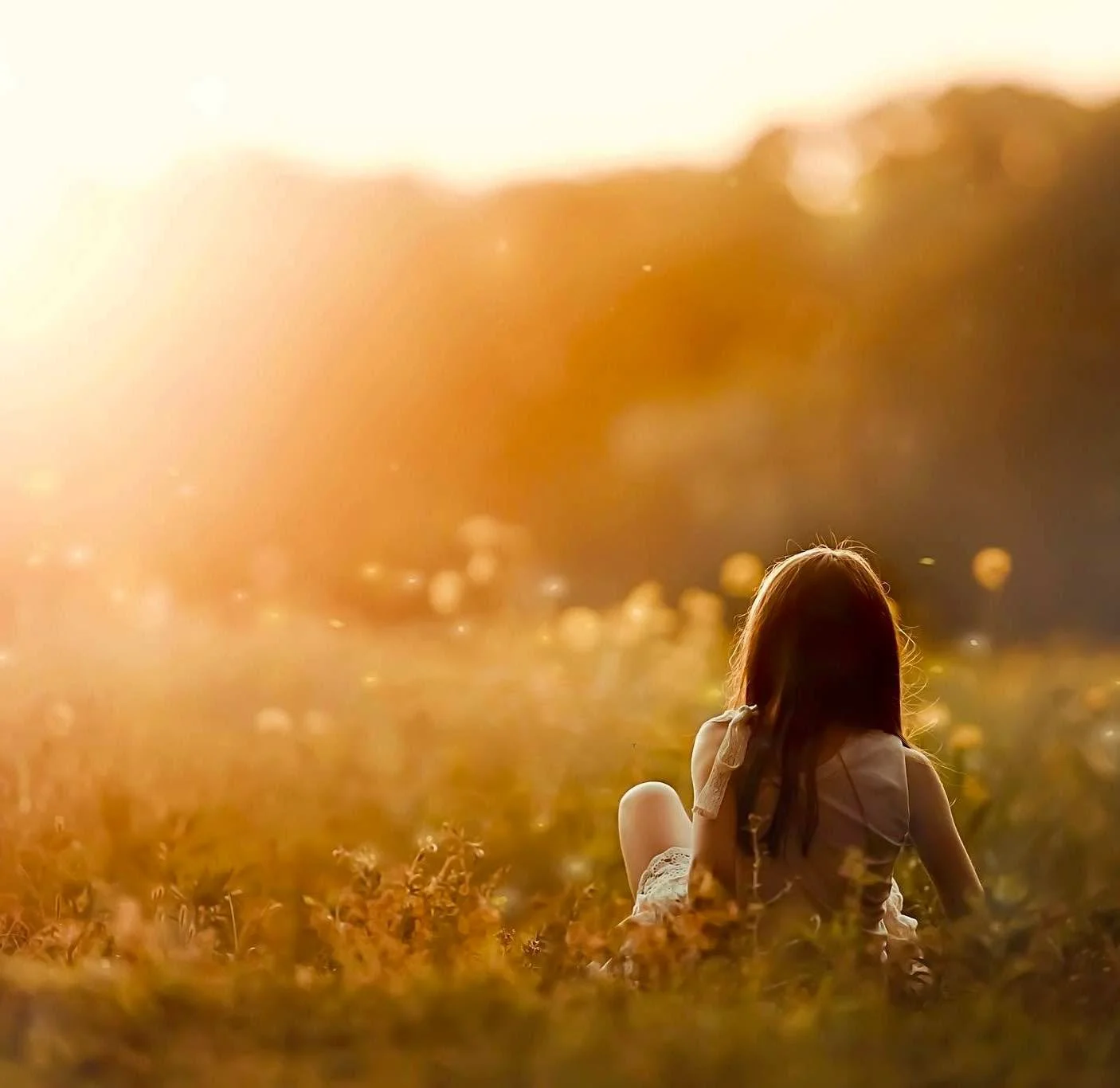 Last minute opening spot for Sunday!!! Sunset&hellip; great weather, bring the dog, bring the cat, the goat or the monkey&hellip; (yep, we have done a session with a monkey before)! Contact me asap for this special rate!