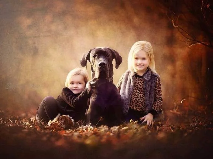 When you get to capture the beautiful light of November&hellip; with a big puppy lol