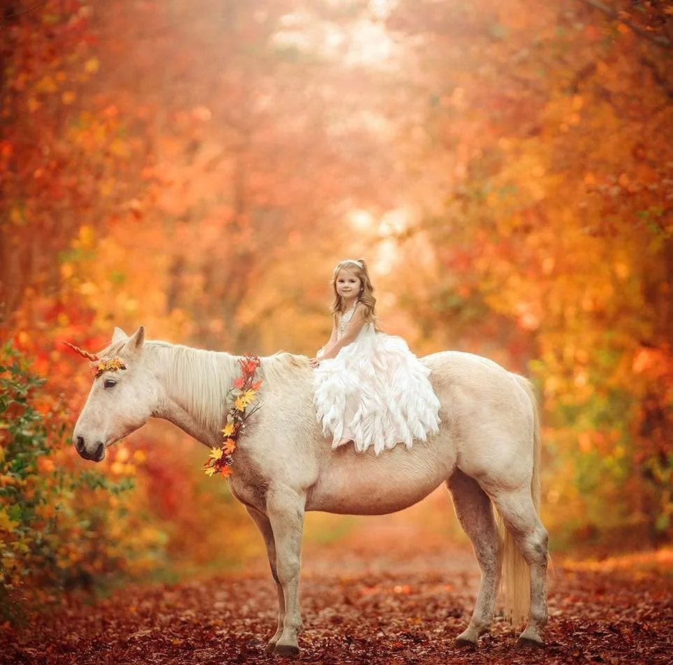 Our Winter Unicorn Sessions are officially open and honestly they make incredible Christmas gifts and birthday surprises. Kids walk in all serious like &ldquo;yeah sure mom&rdquo; and then they see Drifter, the unicorn who played Sparkle in the Lions