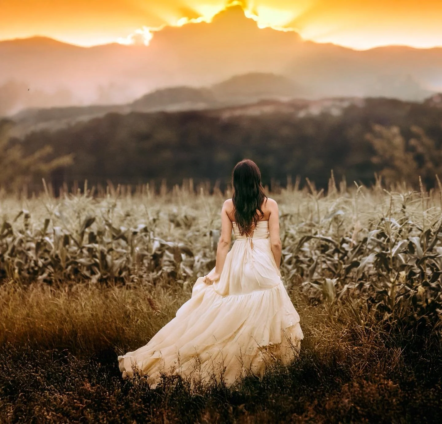 Golden hour magic in a Philly cornfield&hellip; where the world slows down and everything feels a little more like a fairytale. 🌾✨
I live for moments like this soft light, flowing gowns, and that quiet kind of beauty that feels straight out of a sto