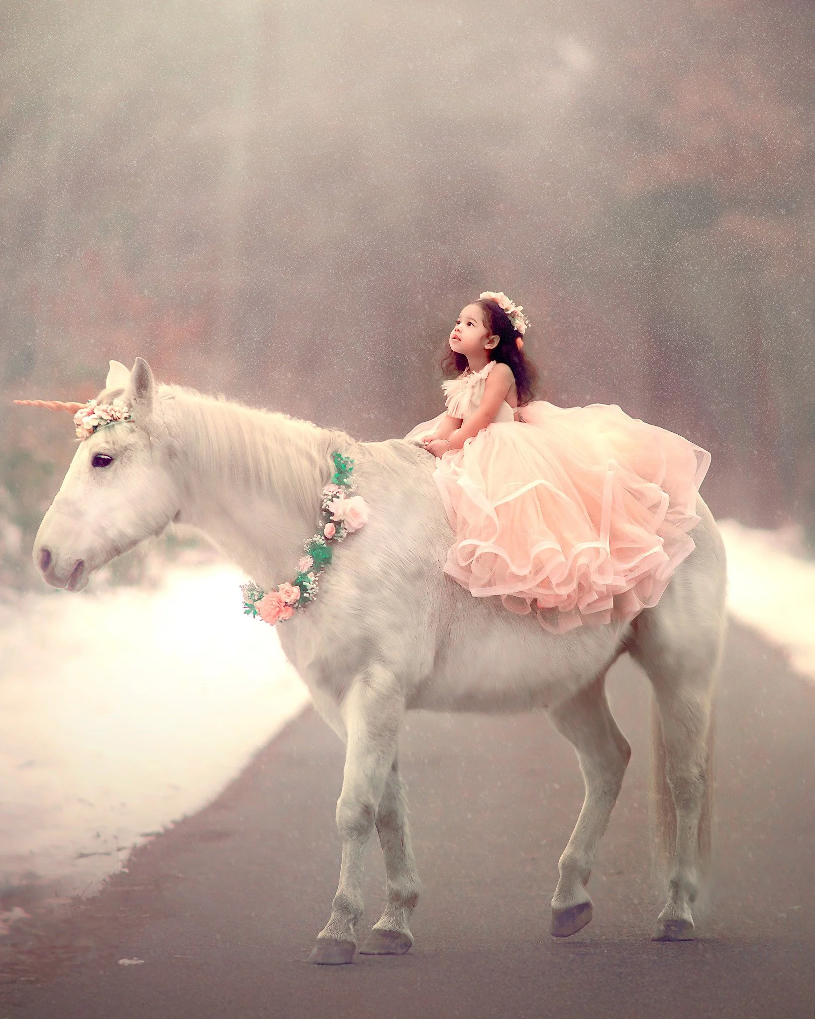 ✨ A little winter magic ✨

Unicorn sessions are now booking for next month.
These are limited, carefully planned, and designed to feel like a once-in-a-childhood experience 🦄

If you&rsquo;ve been dreaming about this for your child, now is the time 