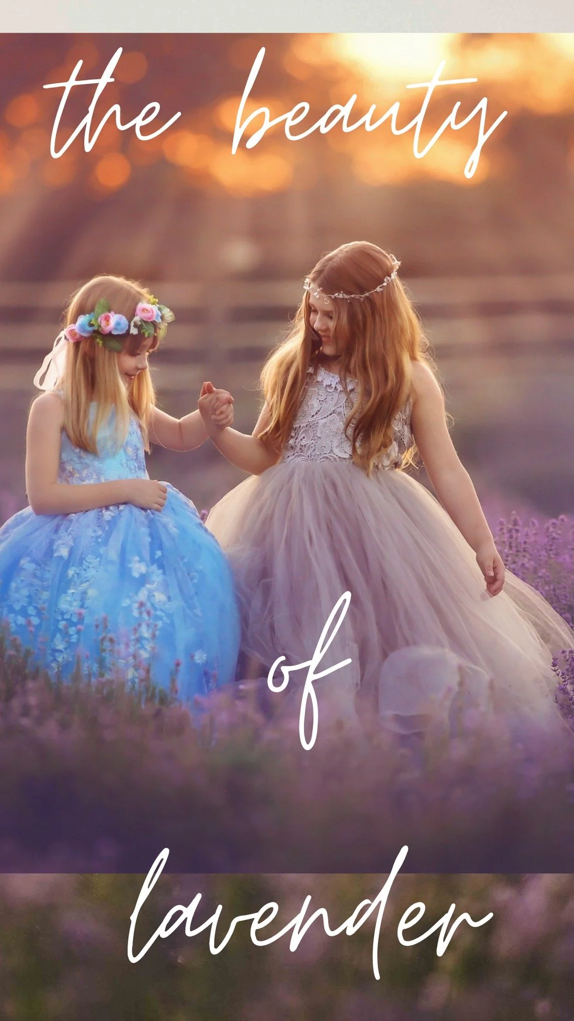 Our annual lavender sessions will be held at a different venue this year. They also have wildflowers at this place which will be great to incorporate into our sessions. Lavender sessions will be help the last week of June this year. 

These sessions 